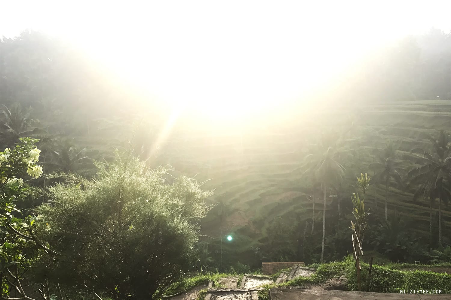 Tegallalang rice terraces, Bali