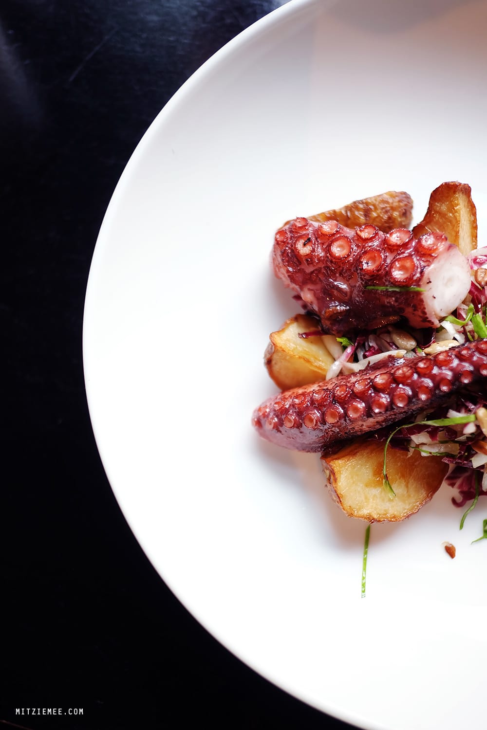 Octopus at Faun, Brooklyn, New York