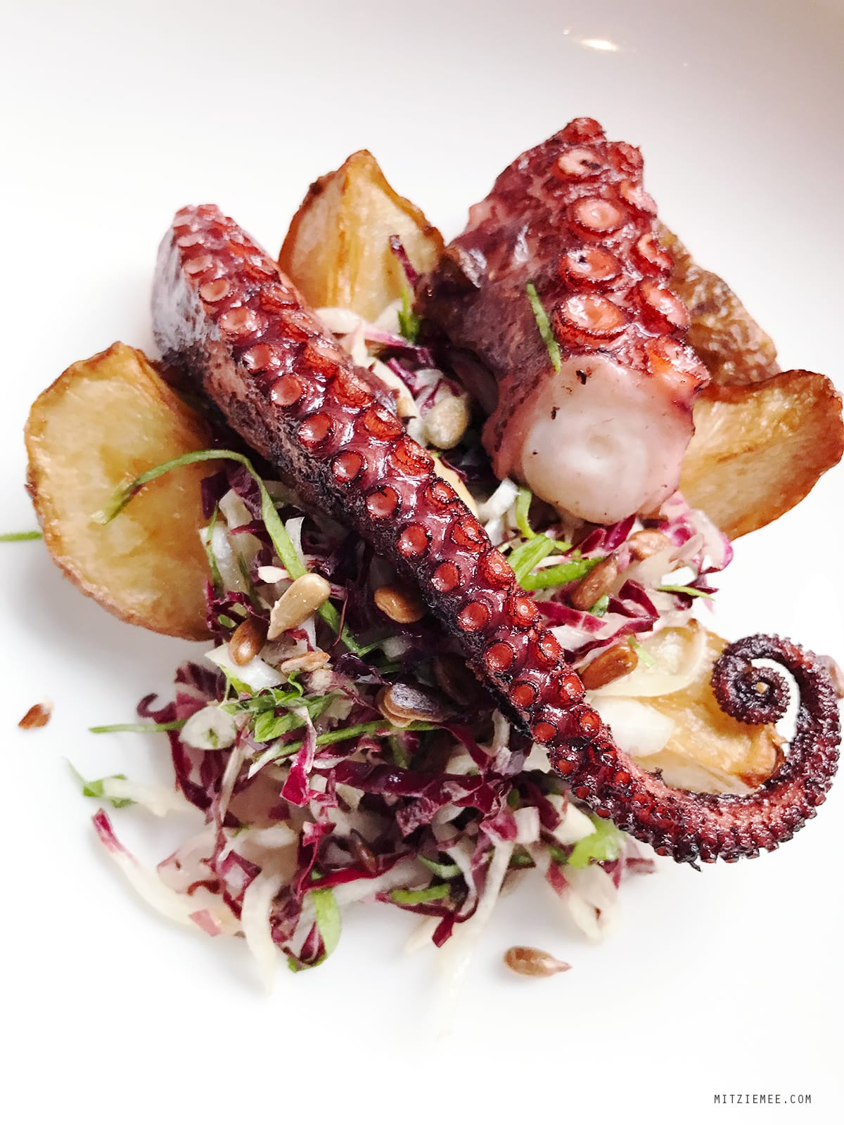 Octopus at Faun, Brooklyn, New York
