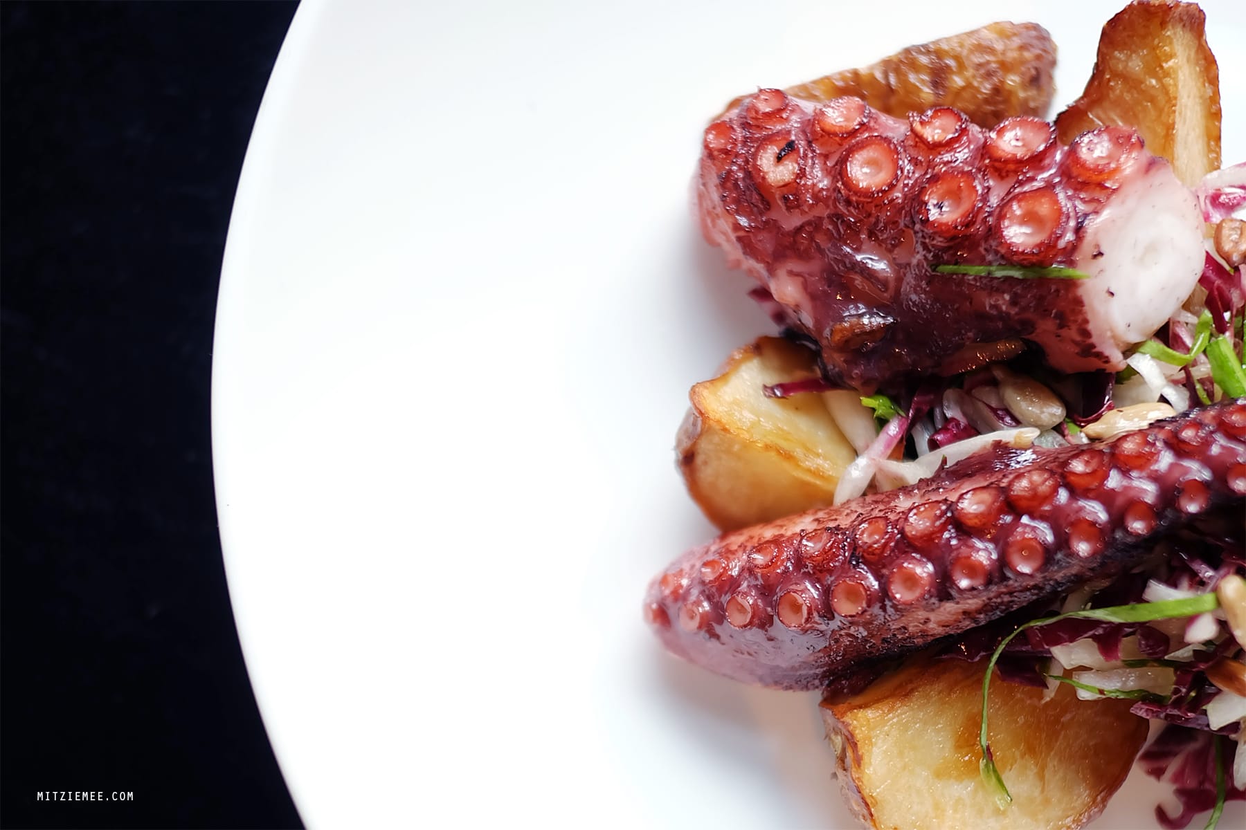 Octopus at Faun, Brooklyn, New York