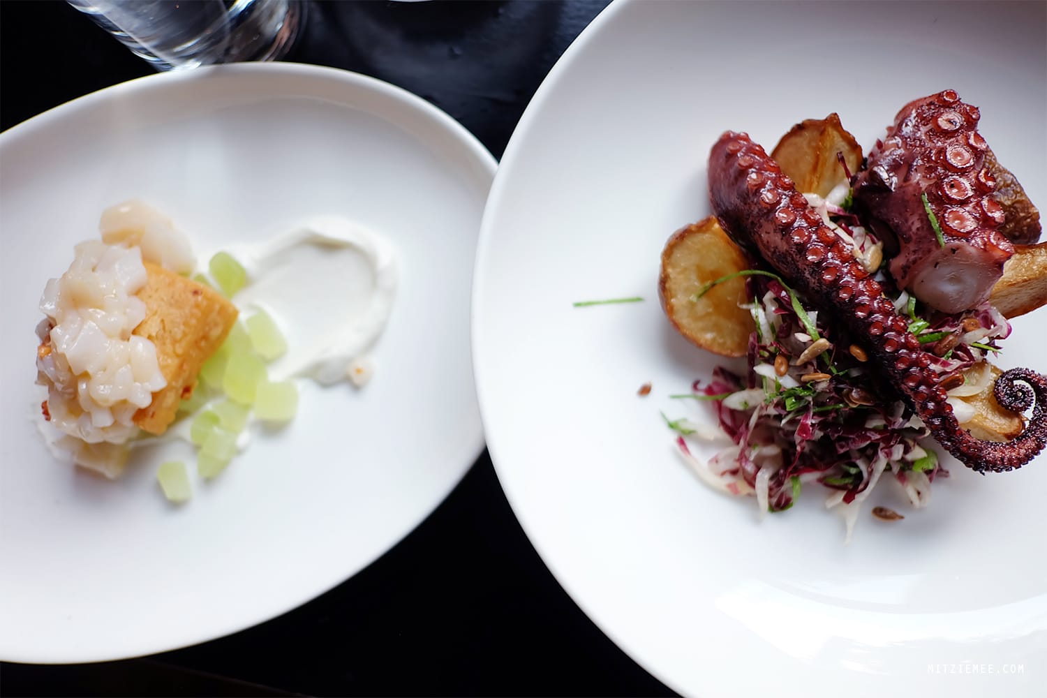 Octopus at Faun, Brooklyn, New York