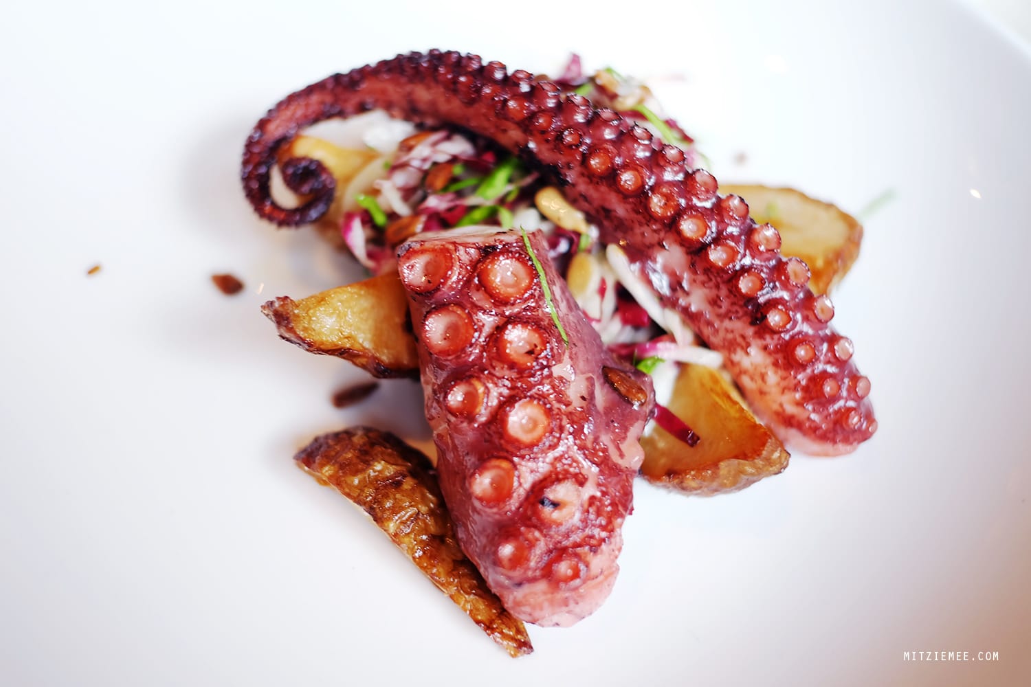 Octopus at Faun, Brooklyn, New York
