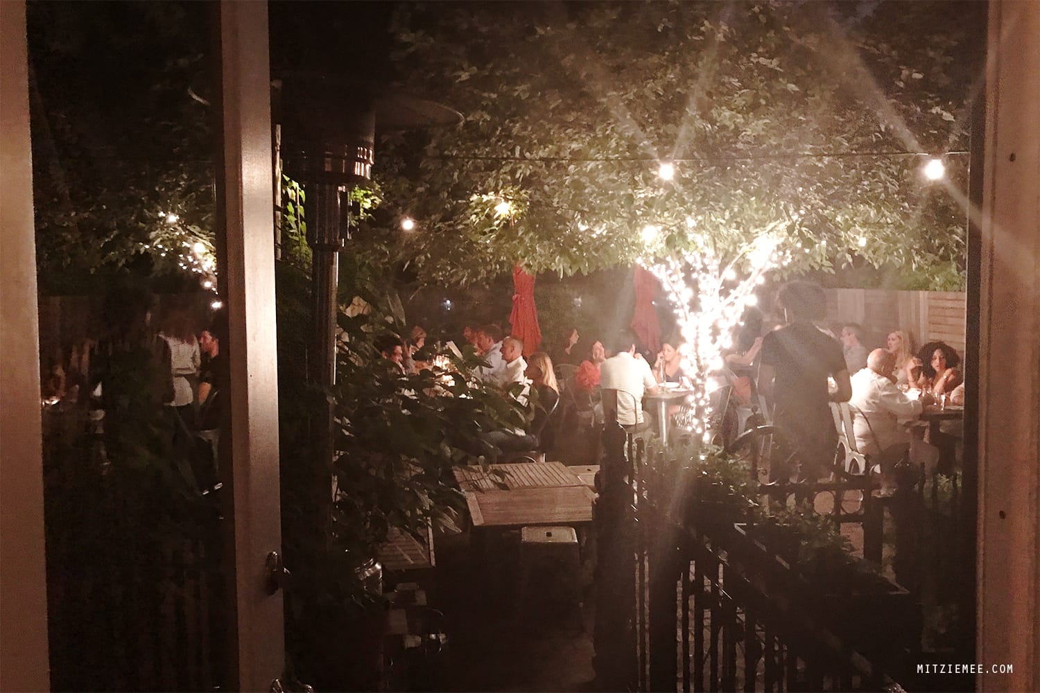 The garden at Faun, Brooklyn