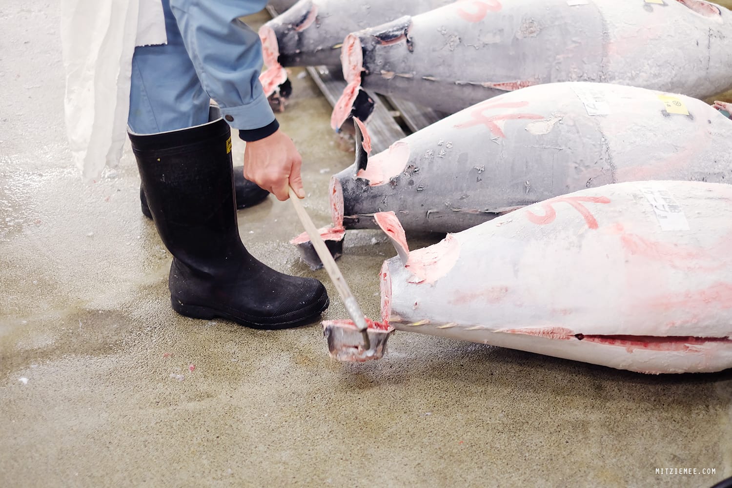 The tuna auction at Tsukiji Fish Market in Tokyo