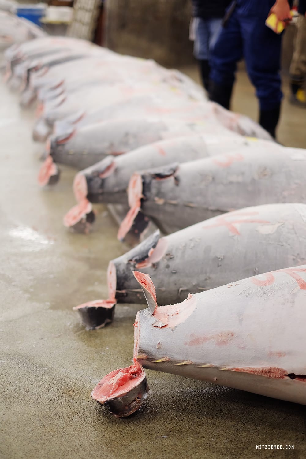 The tuna auction at Tsukiji Fish Market in Tokyo
