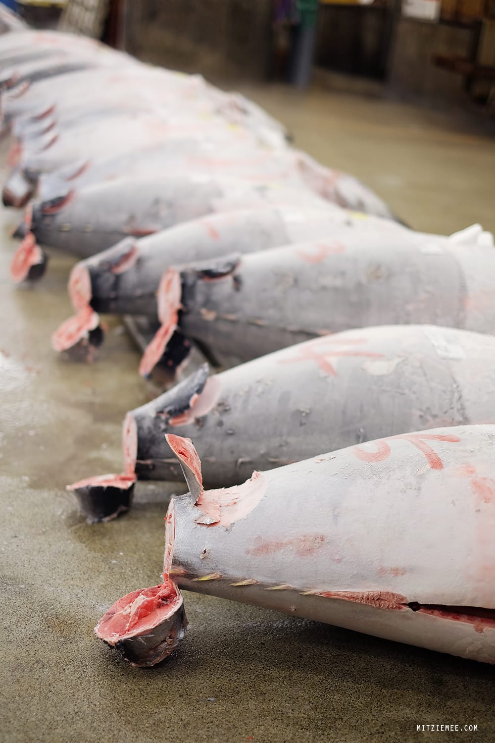 The tuna auction at Tsukiji Fish Market in Tokyo