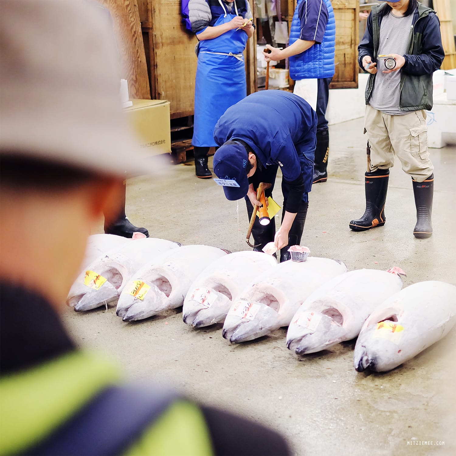 The tuna auction at Tsukiji Fish Market in Tokyo