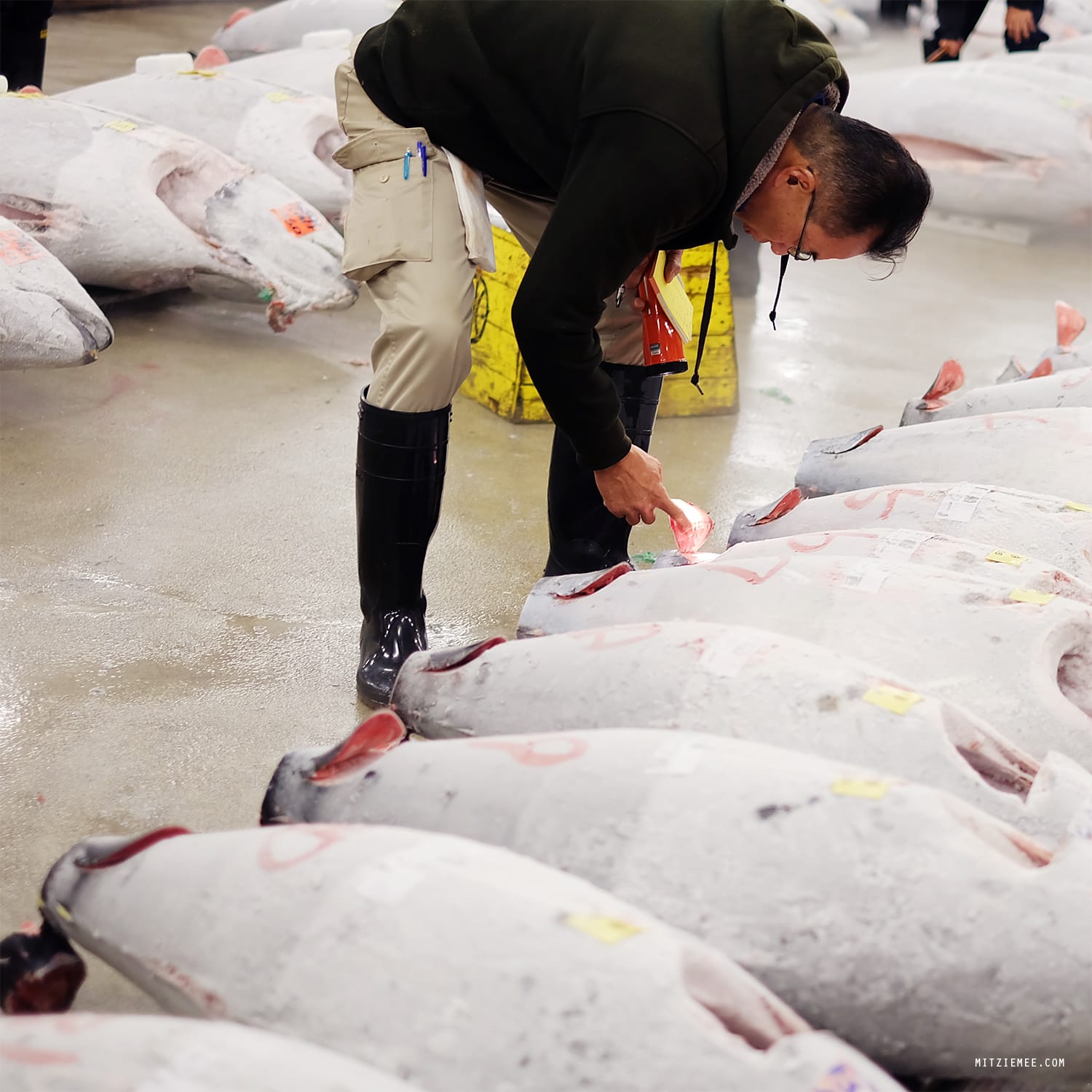 The tuna auction at Tsukiji Fish Market in Tokyo