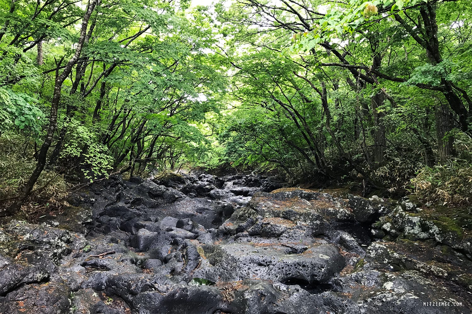 Hallasan mountain hiking, Jeju, South Korea