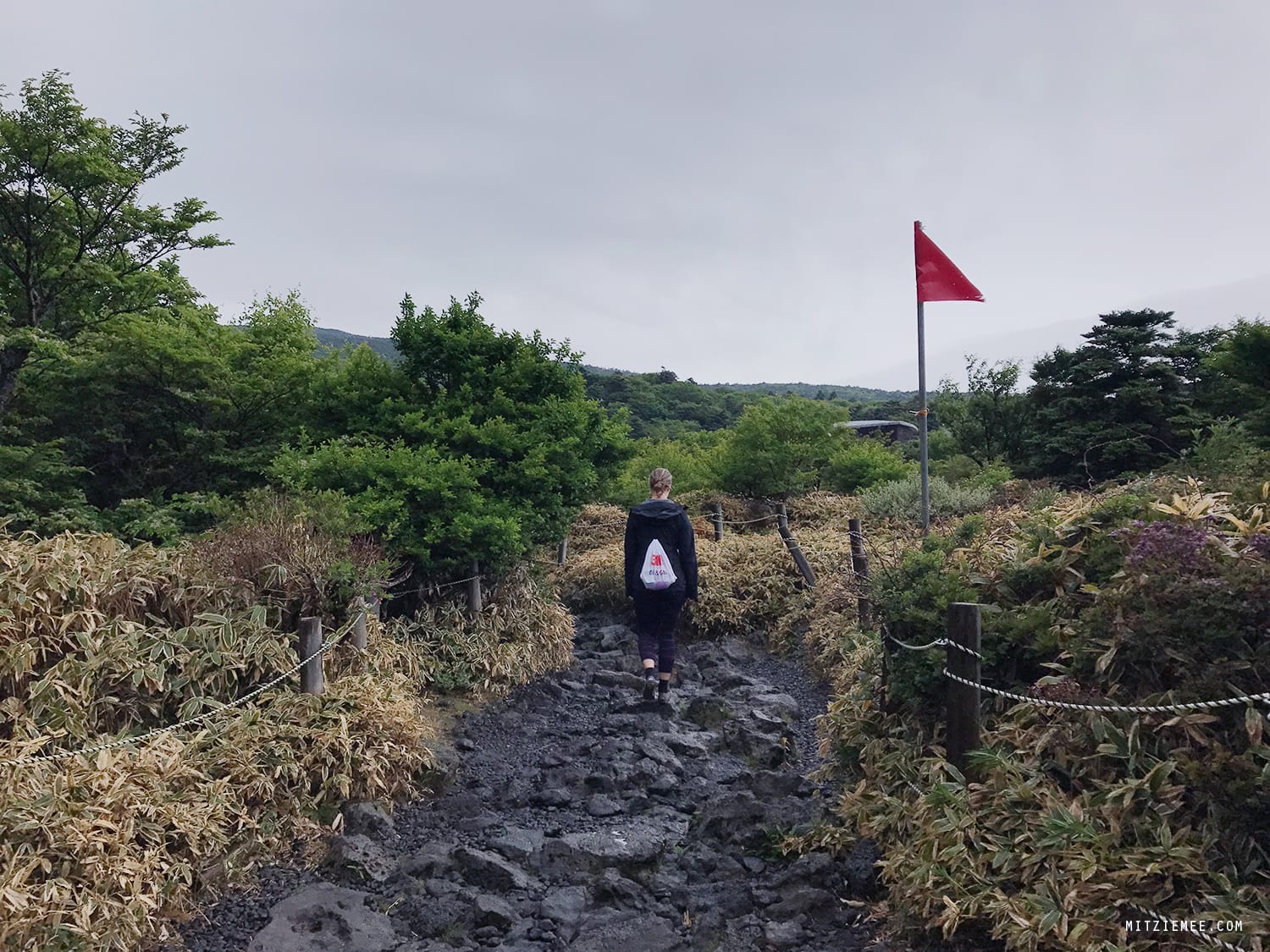 Hallasan mountain hiking, Jeju, South Korea