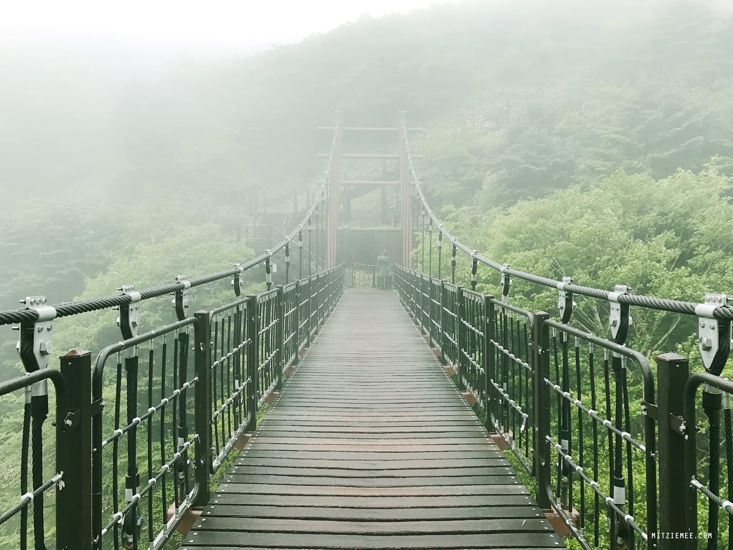 Hallasan mountain hiking, Jeju, South Korea