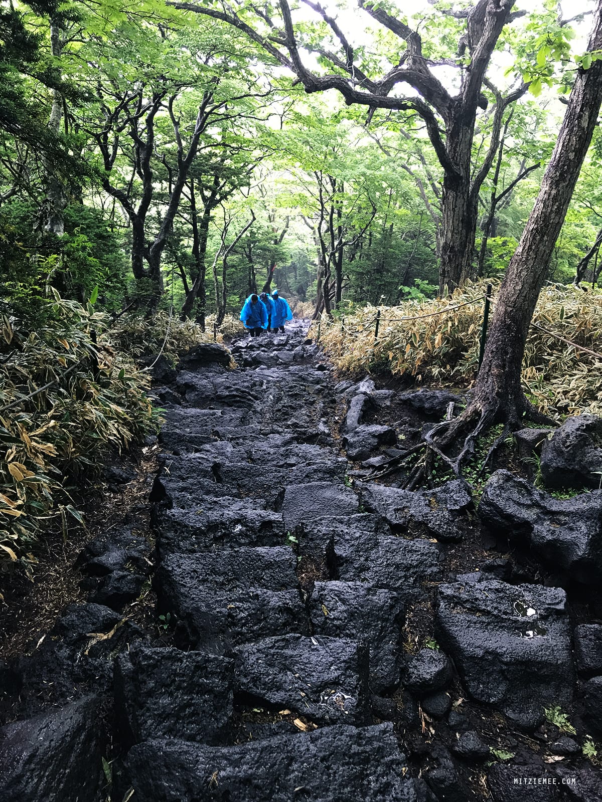 Hallasan, Jeju Island, Korea