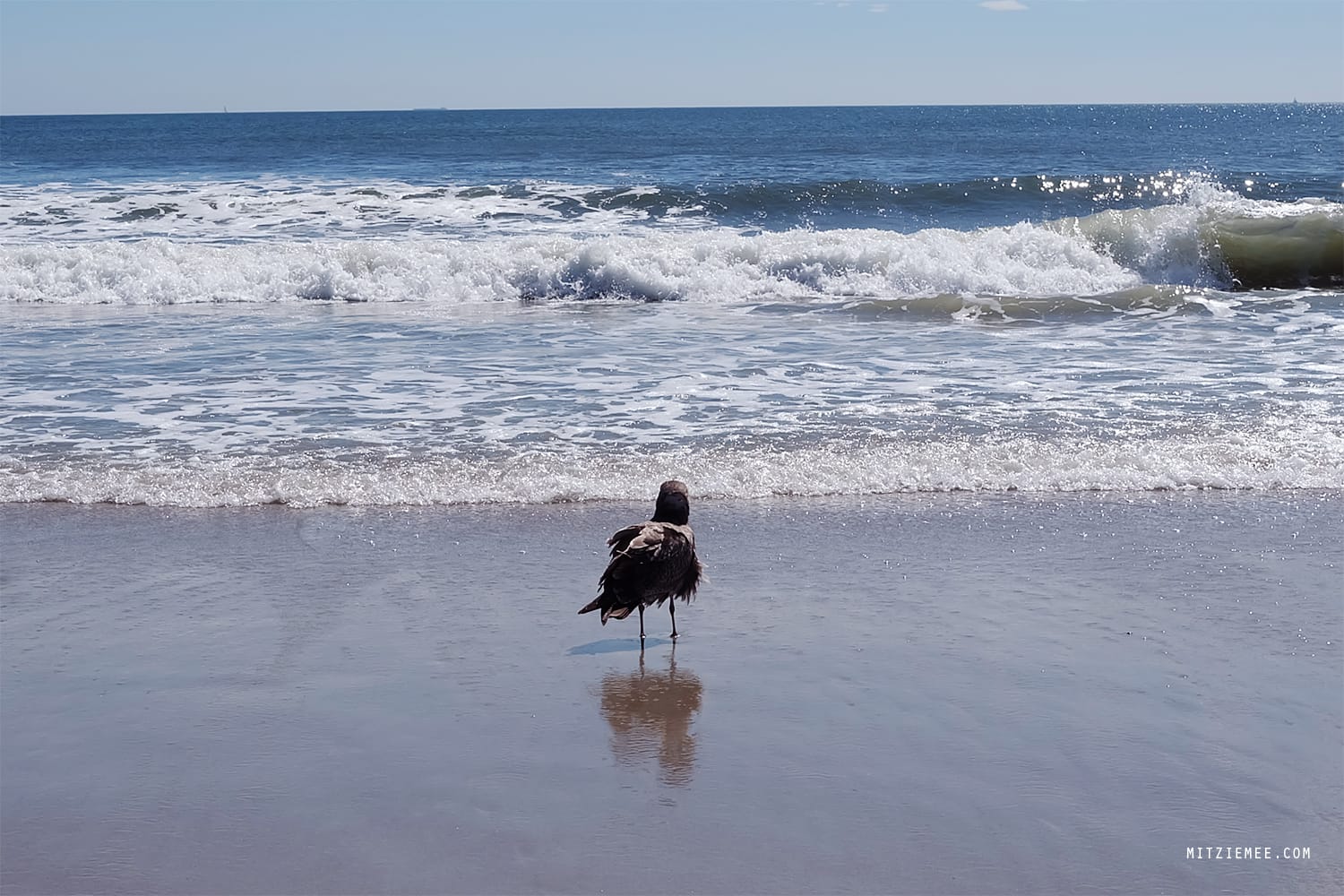 Rockaway Beach, New York