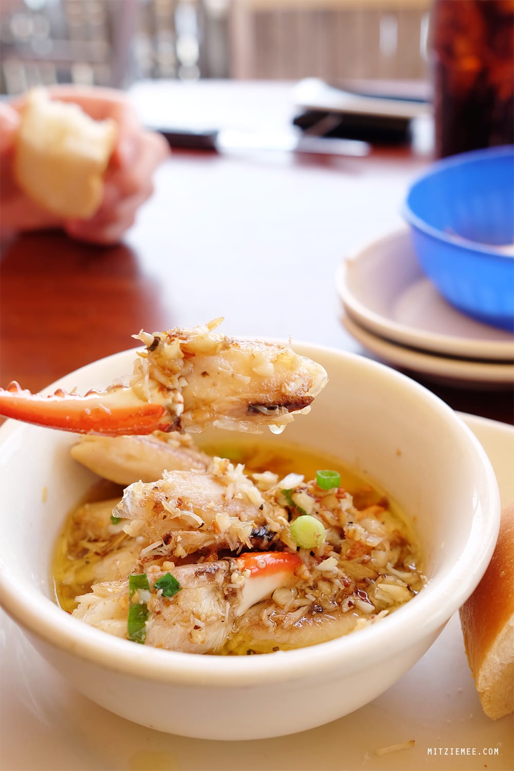 Scoobies at Coconuts, Fort Lauderdale