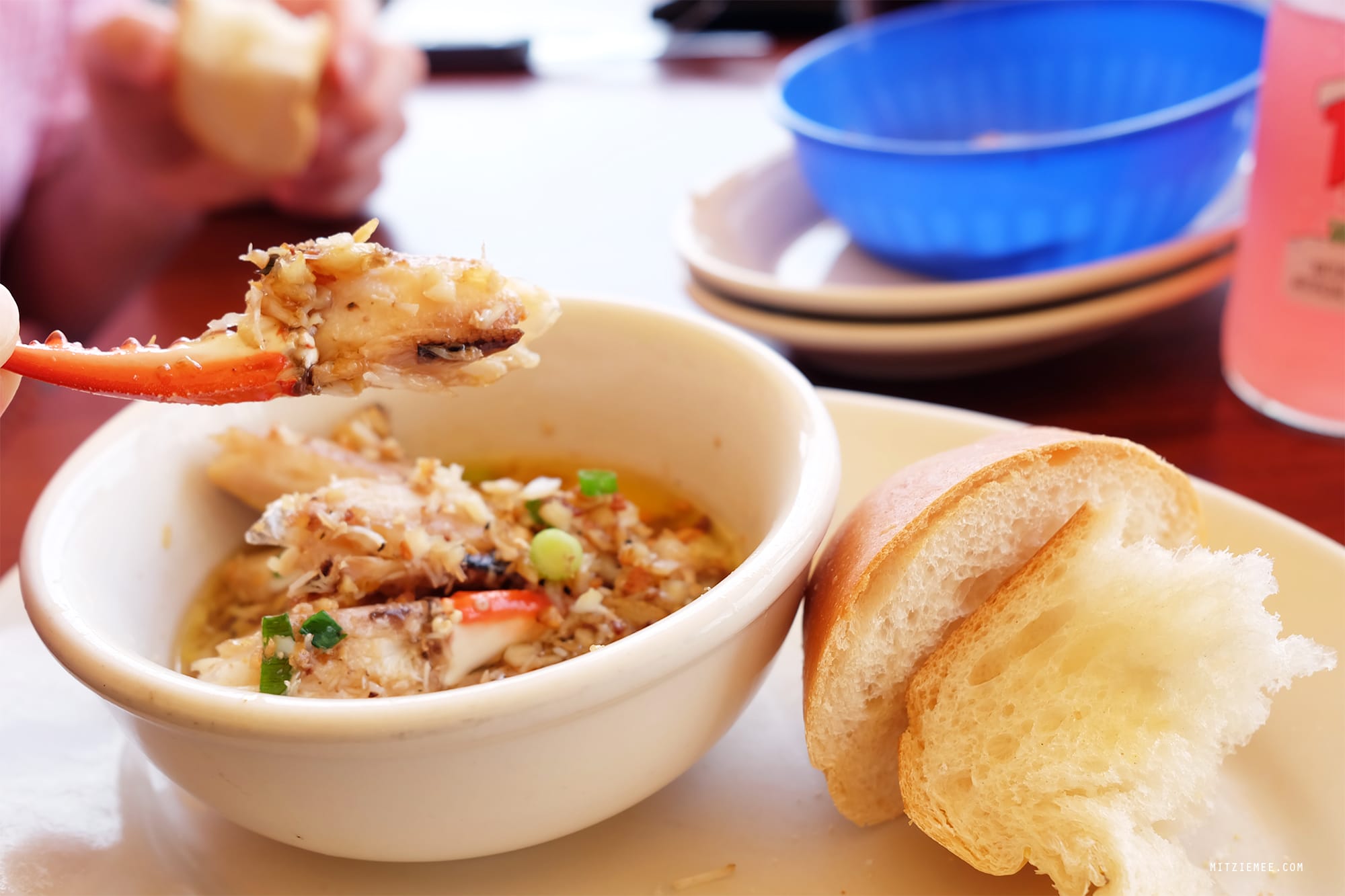 Scoobies at Coconuts, Fort Lauderdale