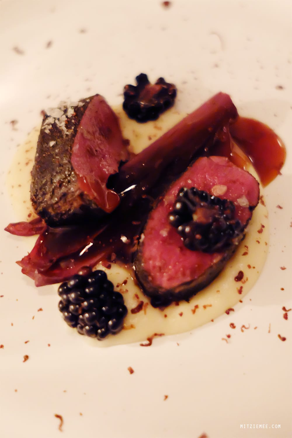 Maison Manesse, Zurich