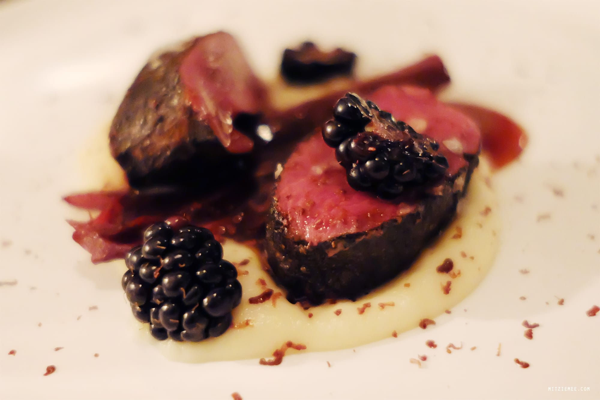 Maison Manesse, Zurich