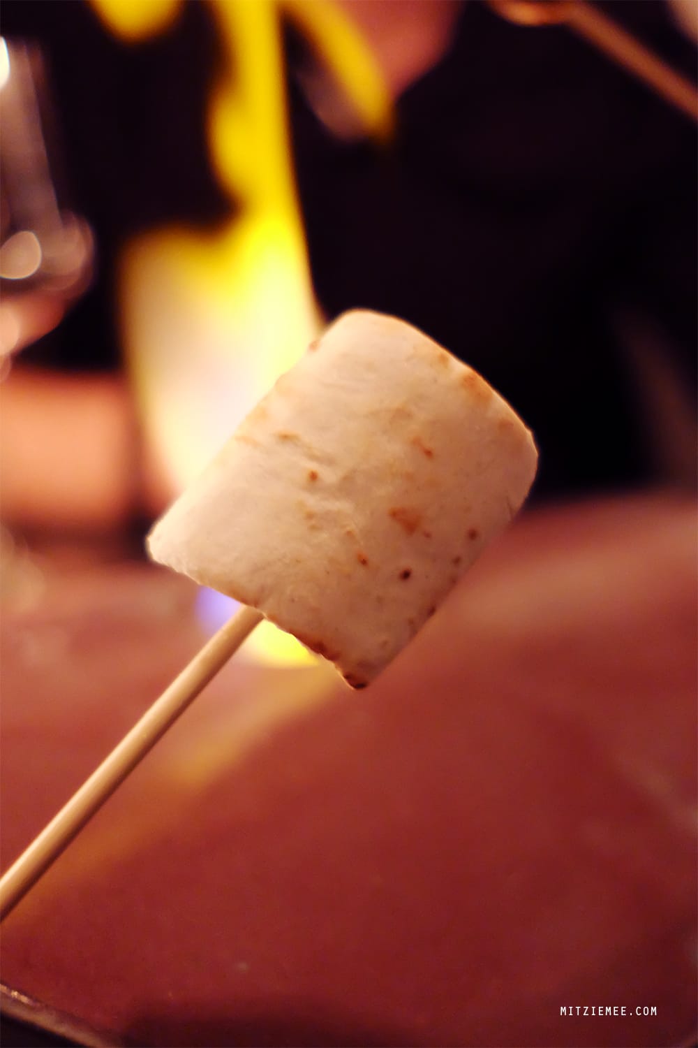 Maison Manesse, Zurich