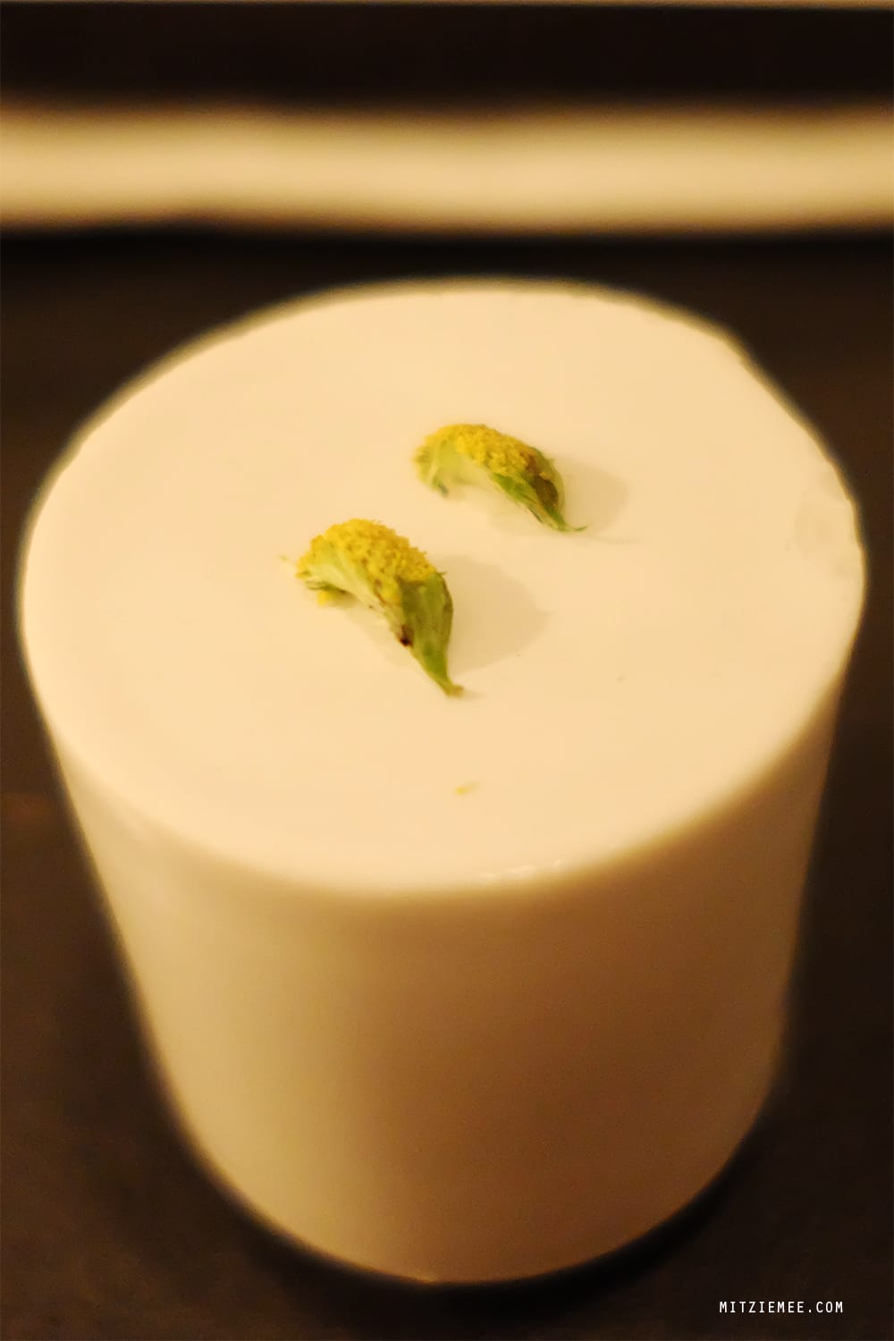 Maison Manesse, Zurich