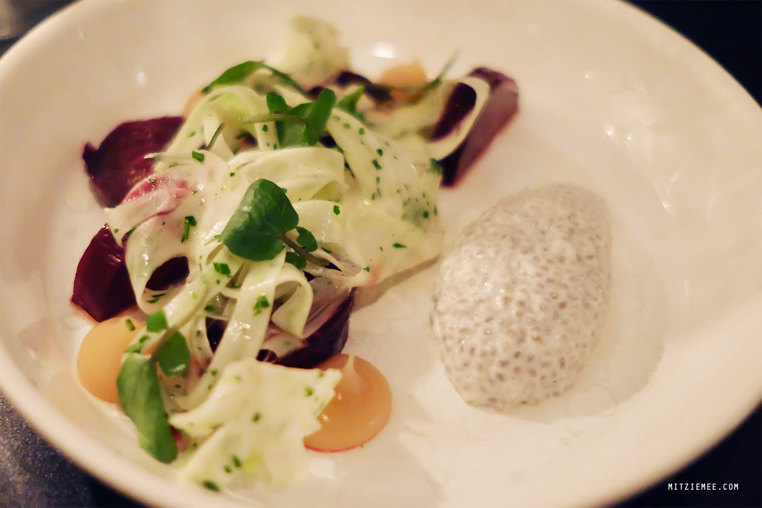 Maison Manesse, Zurich