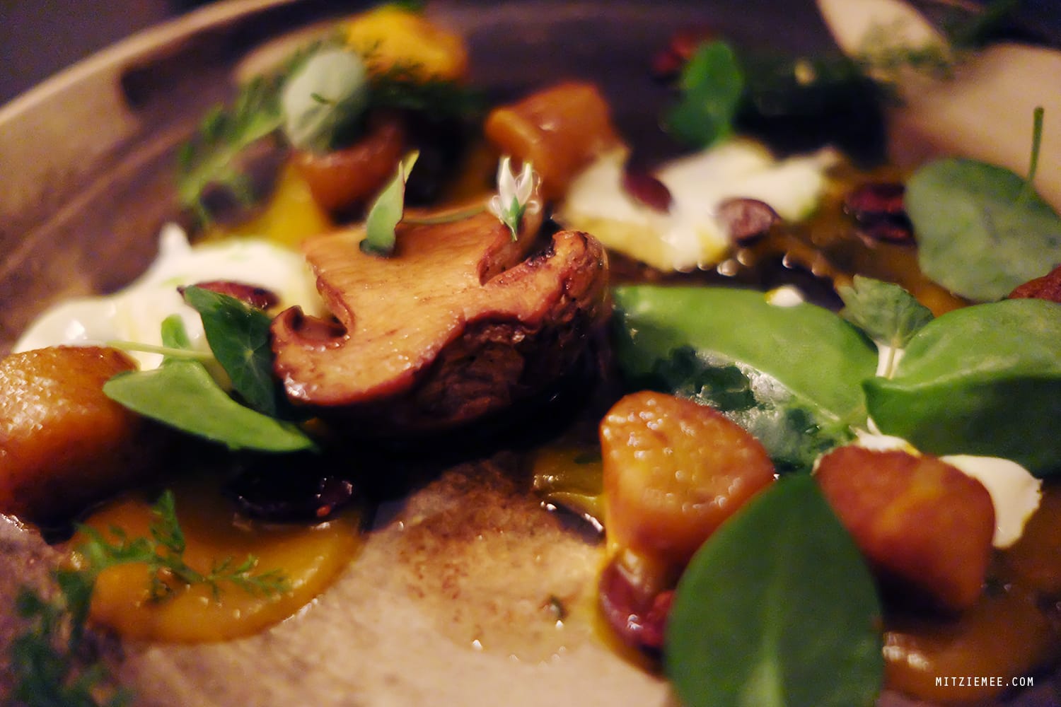 Maison Manesse, Zurich