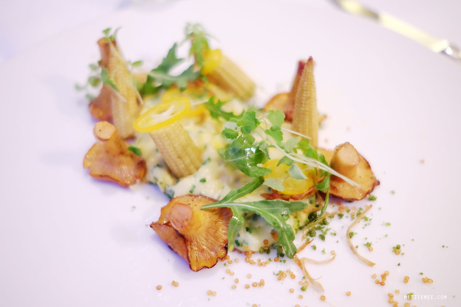 Vegetarian tasting menu at Sein, Zurich