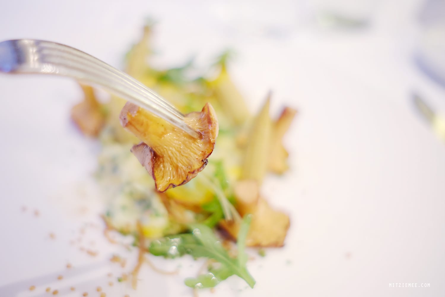 Vegetarian tasting menu at Sein, Zurich