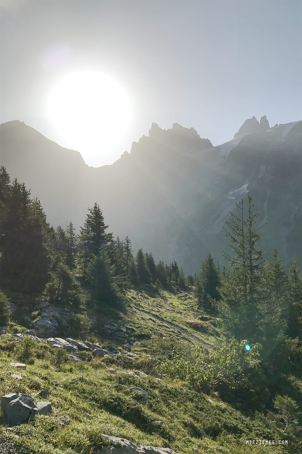 Fürenalp, Engelberg