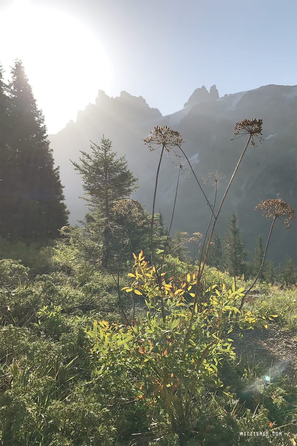 Fürenalp, Engelberg