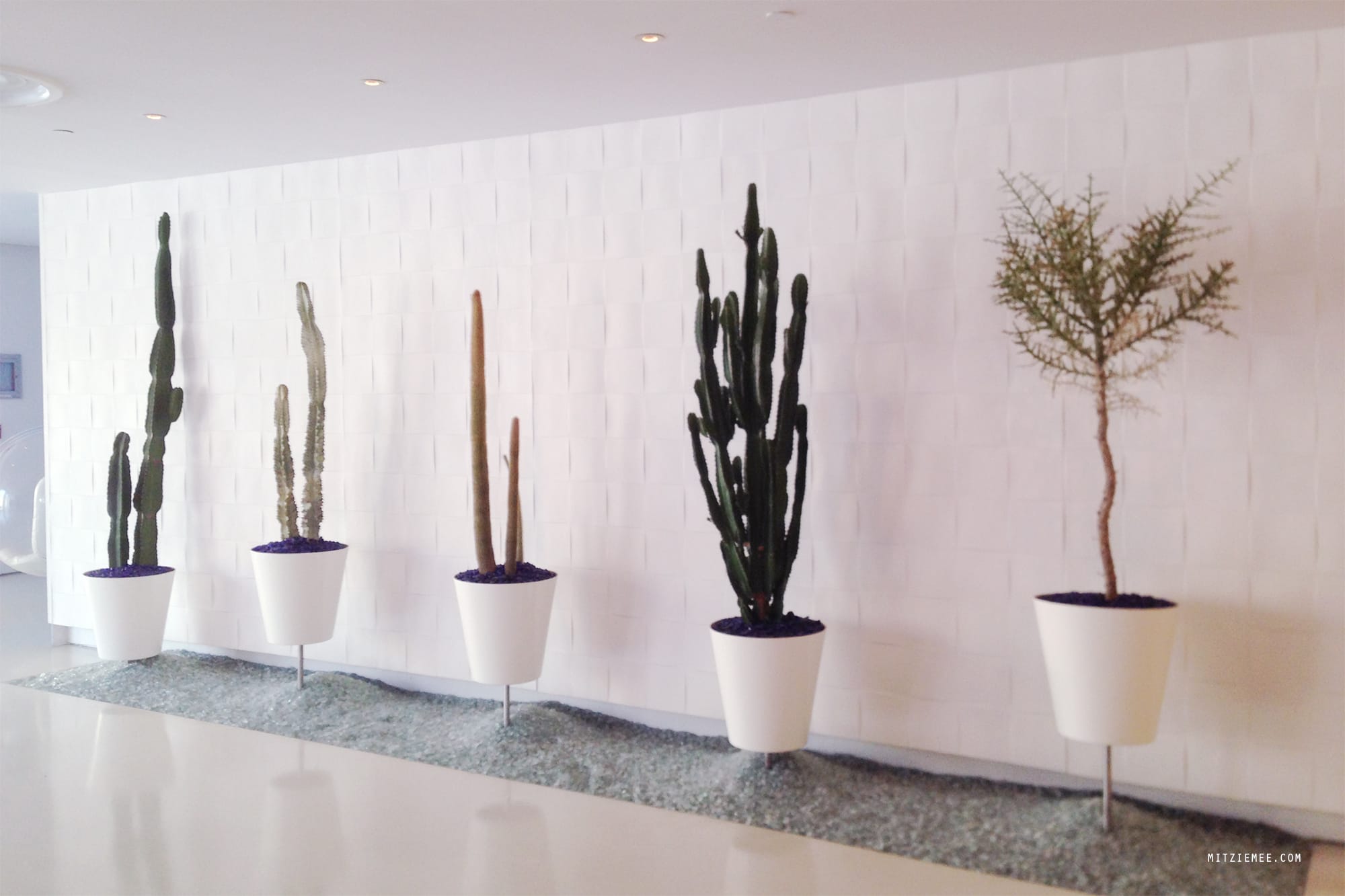 The Standard, Hollywood, Los Angeles