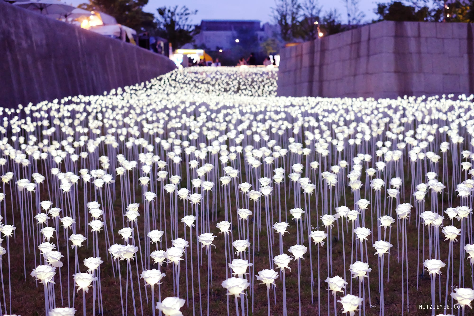 Dongdaemun Night Market, Seoul