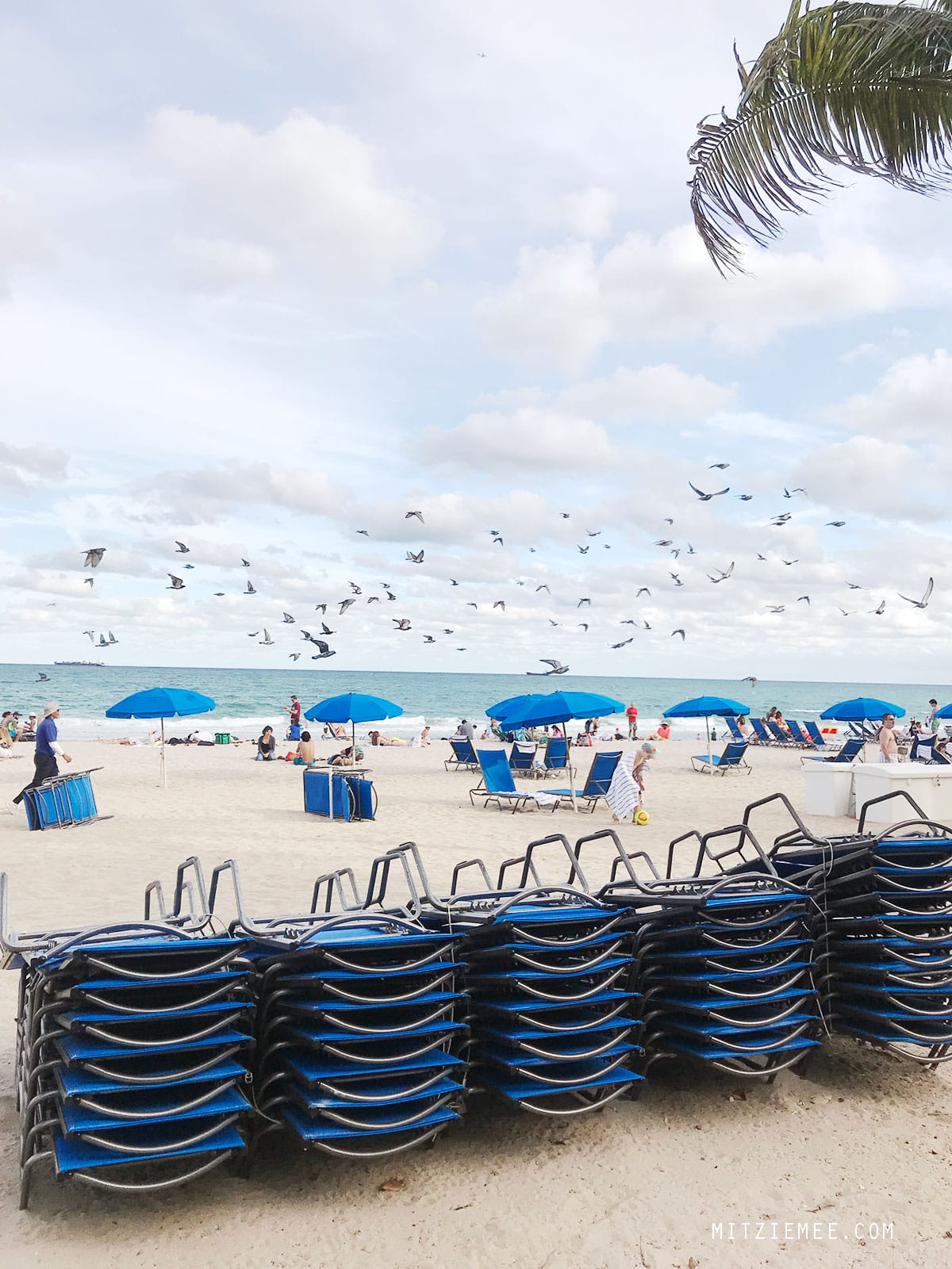 Fort Lauderdale Beach