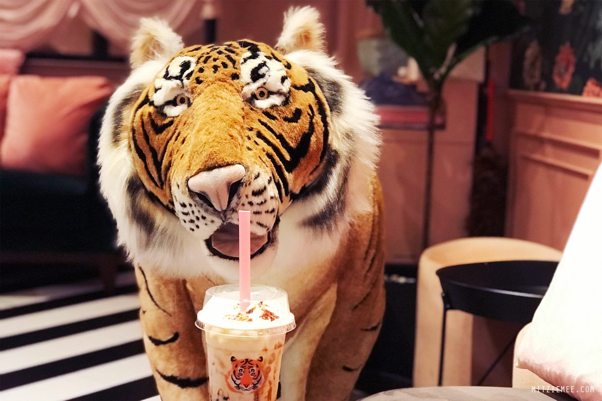 Fire Tiger Milk at Seoulcial Club, Siam Square in Bangkok