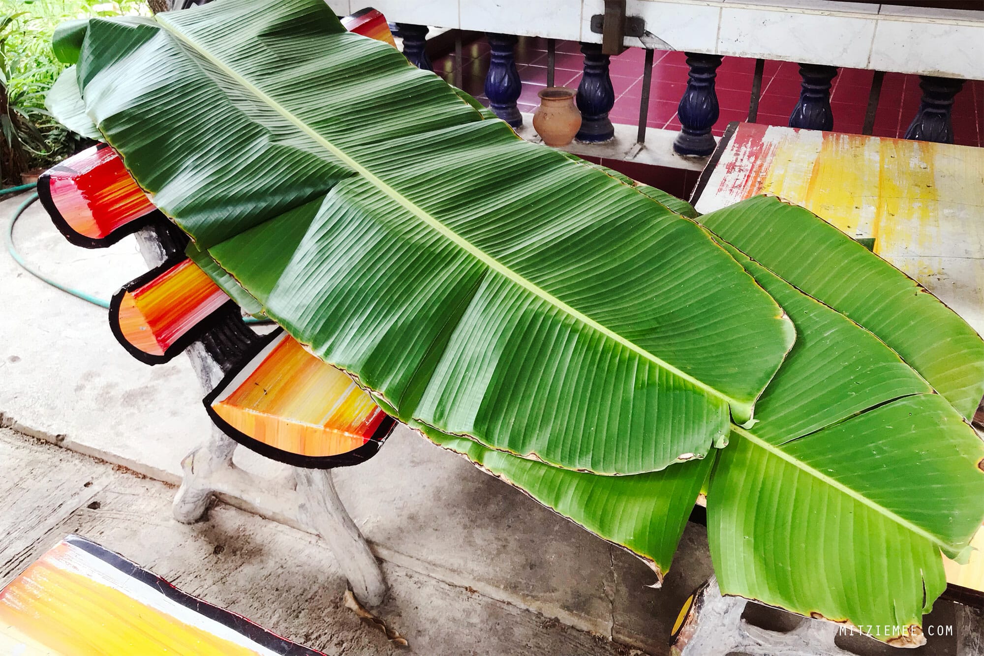 Banana leaves