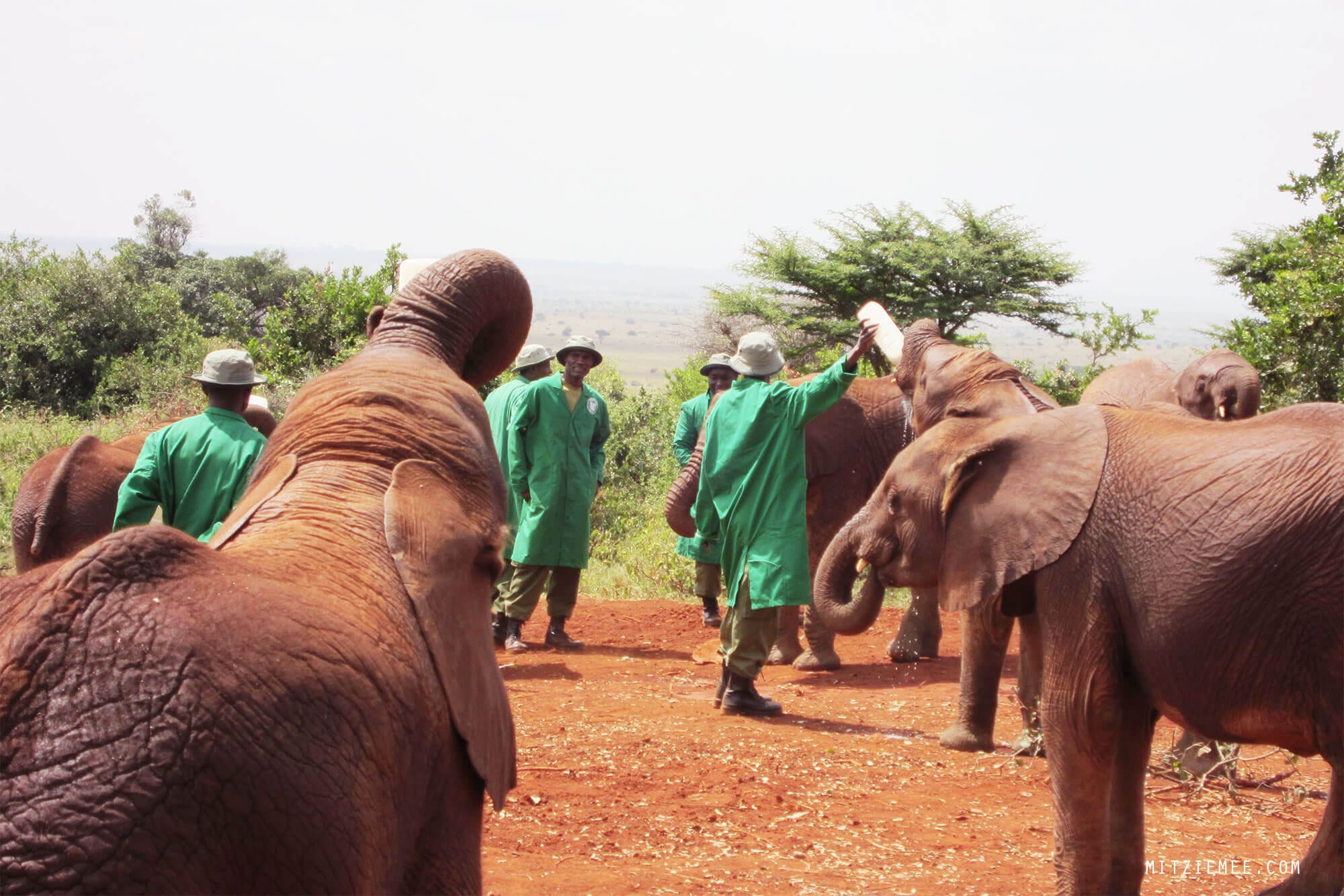 The Sheldrick Wildlife Trust Elephant Nursery in Nairobi