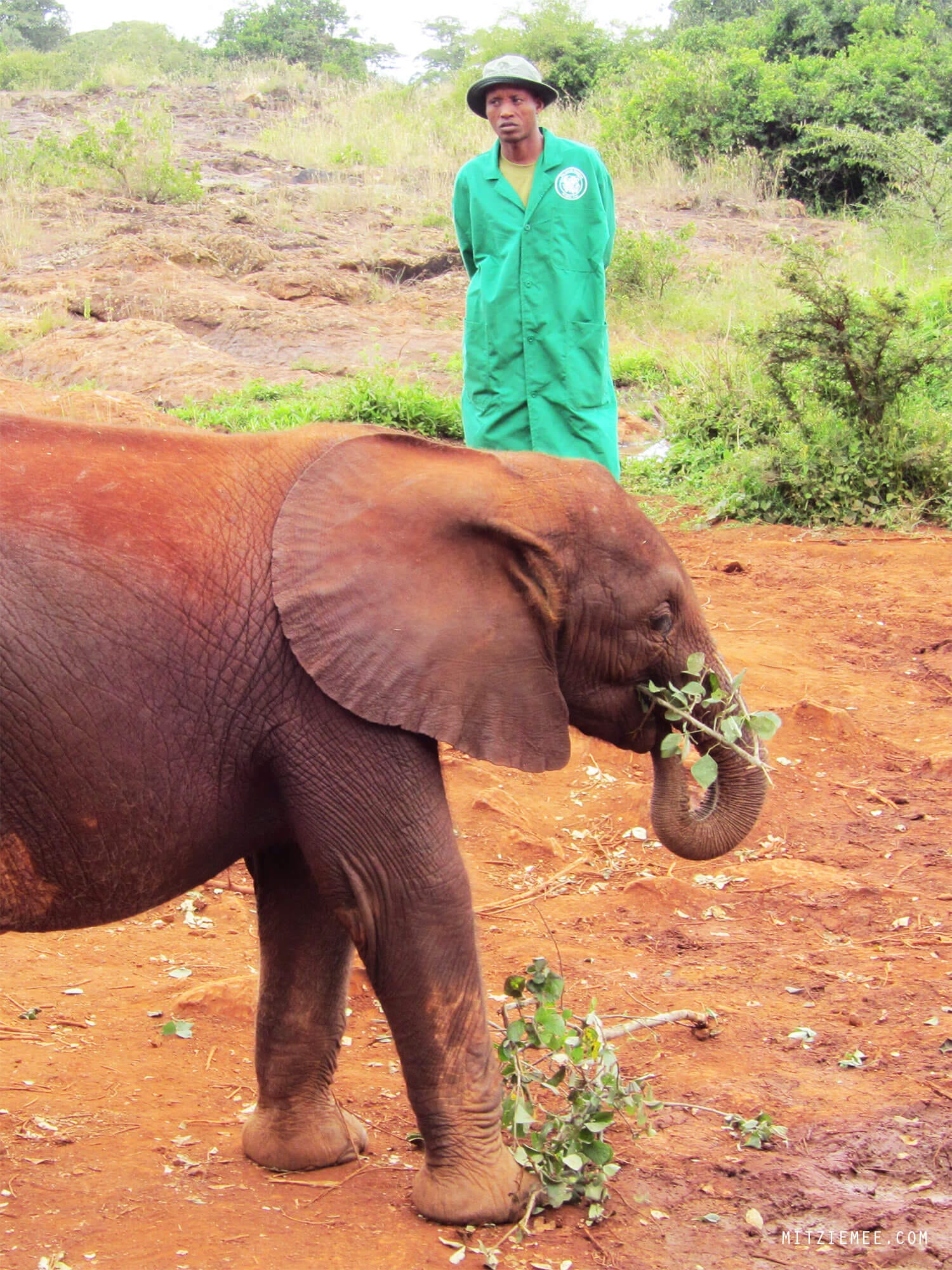 The Sheldrick Wildlife Trust Elephant Nursery in Nairobi
