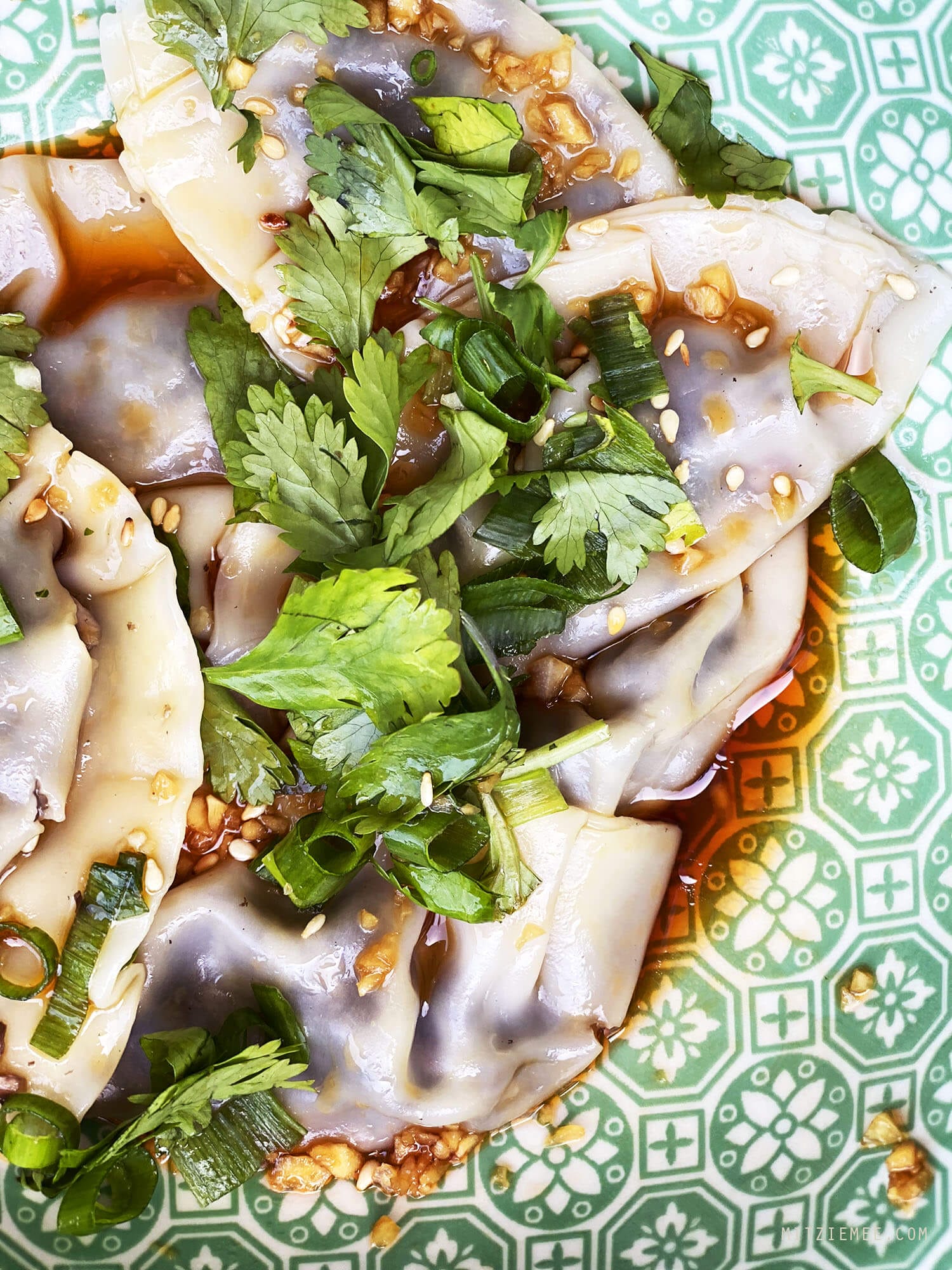 Dumplings in spisy sauce, Recipe