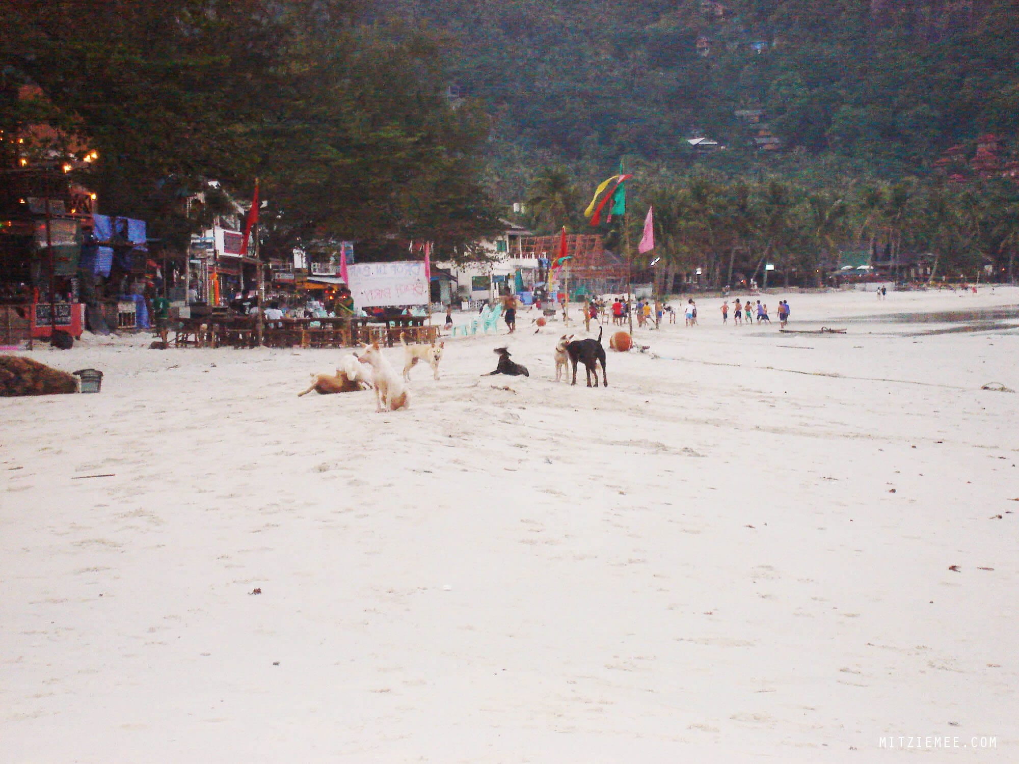 Koh Phagnan