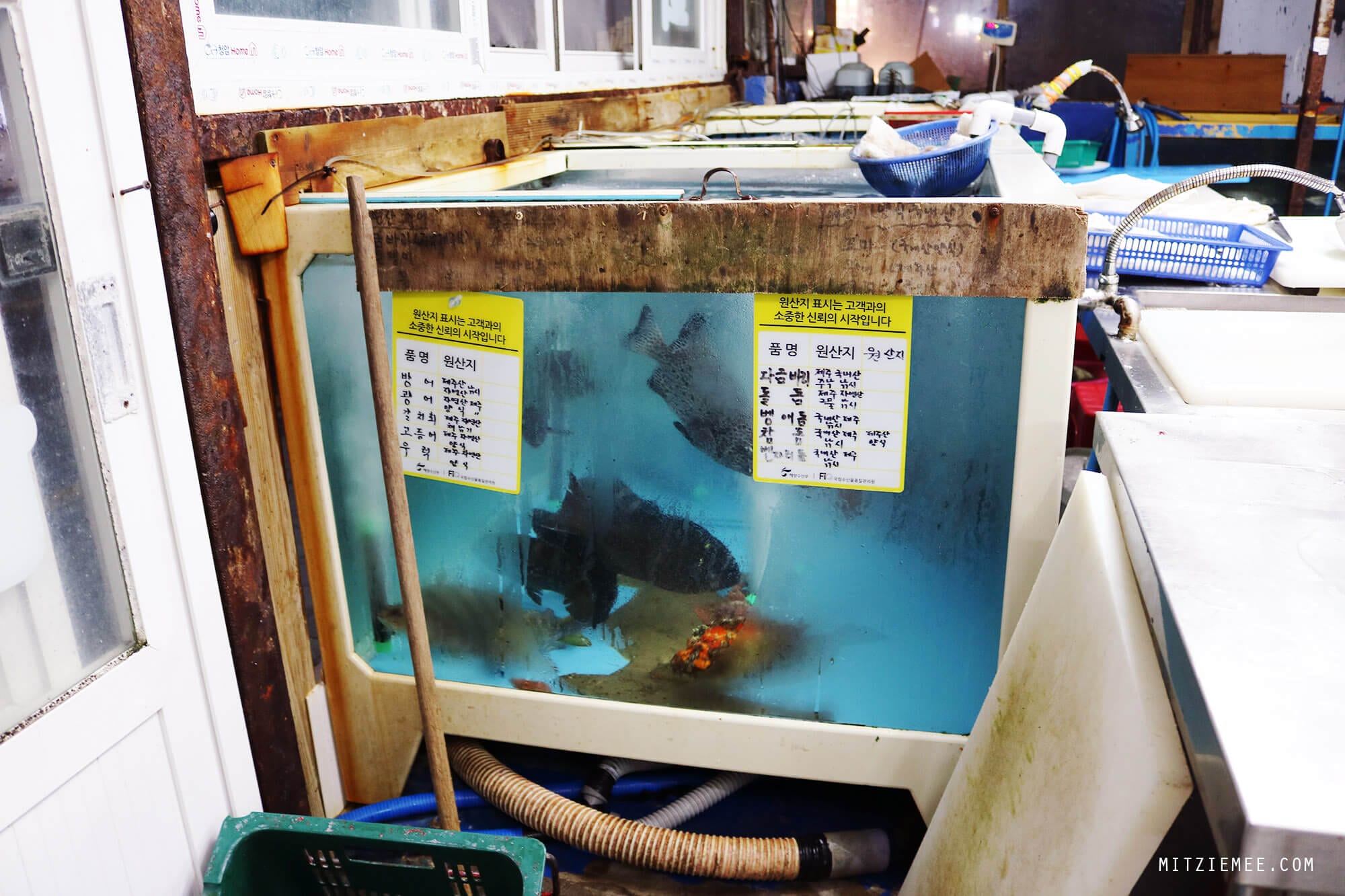 Casual seafood restaurant, Hyeopjae Beach, Jeju Island