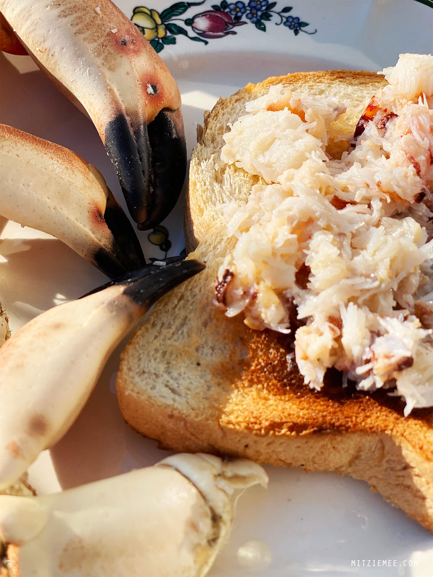 Brown crab on toast, Denmark