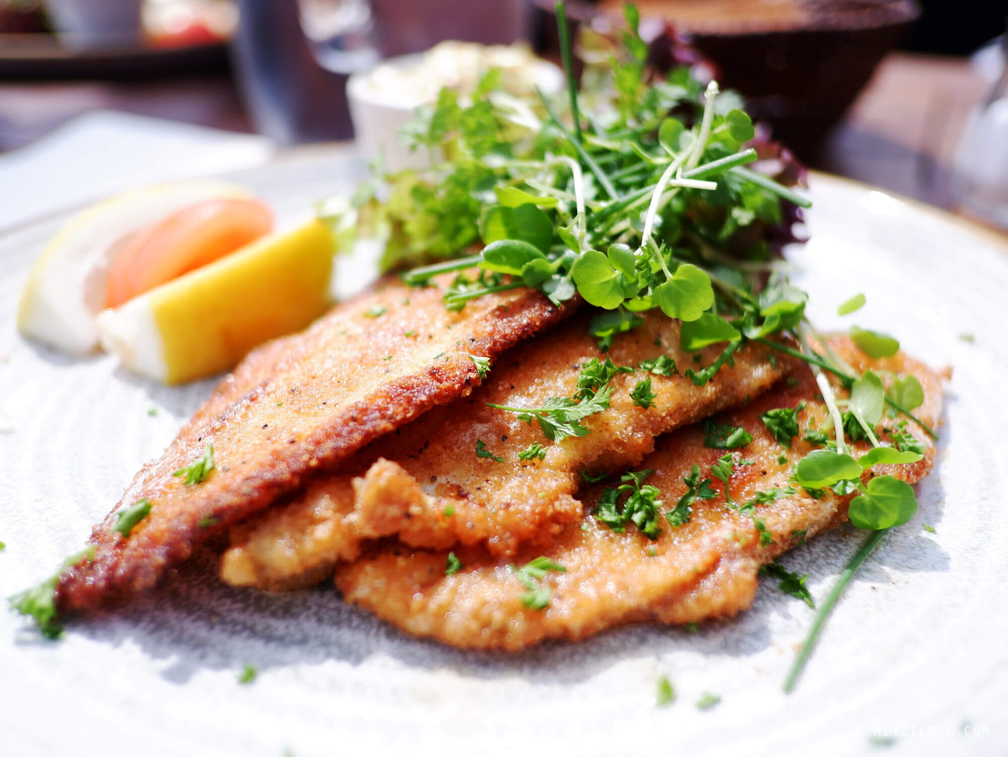 Pan fried plaice at Strandgaarden, Henne Strand, Denmark