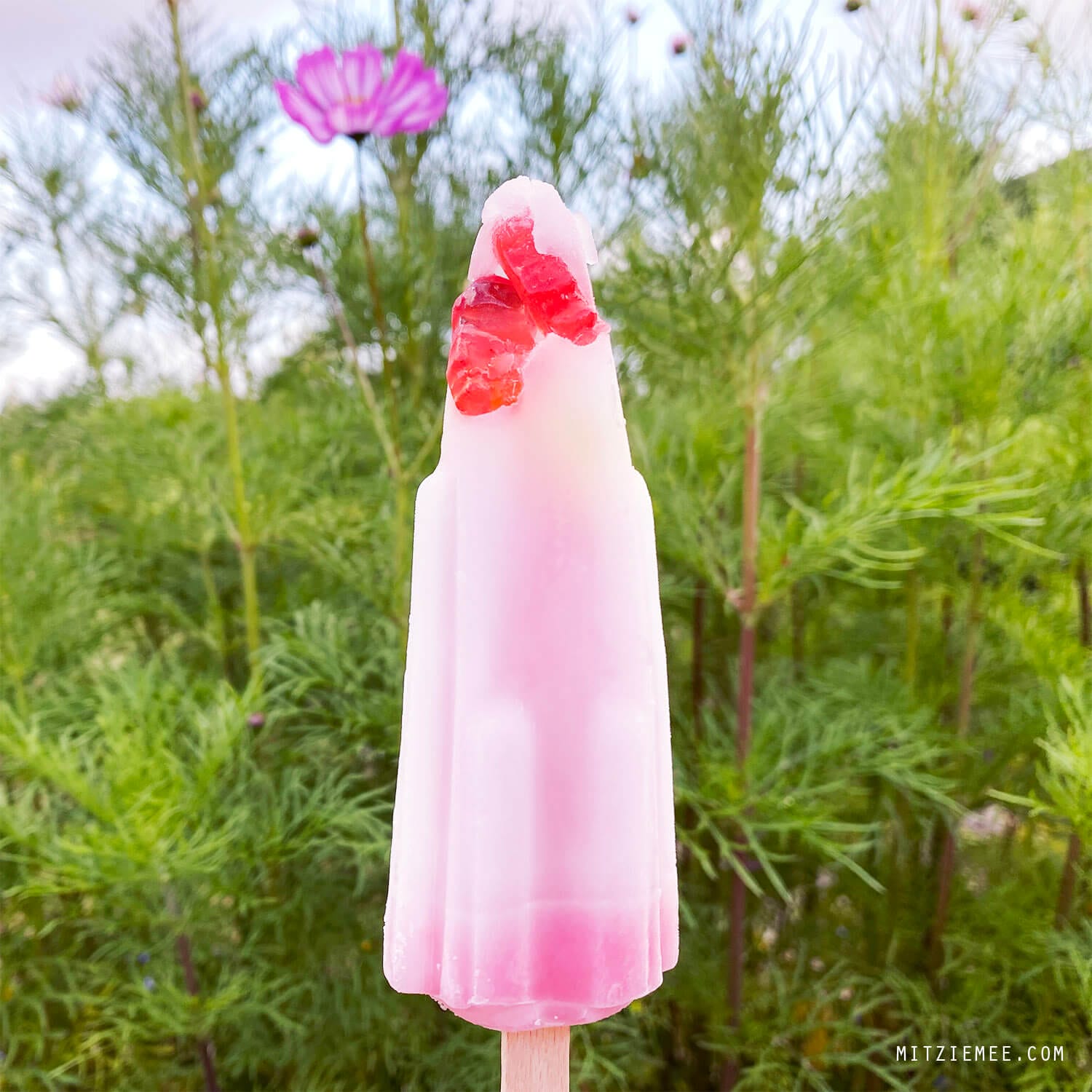 Astronaut popsicle, Danish food