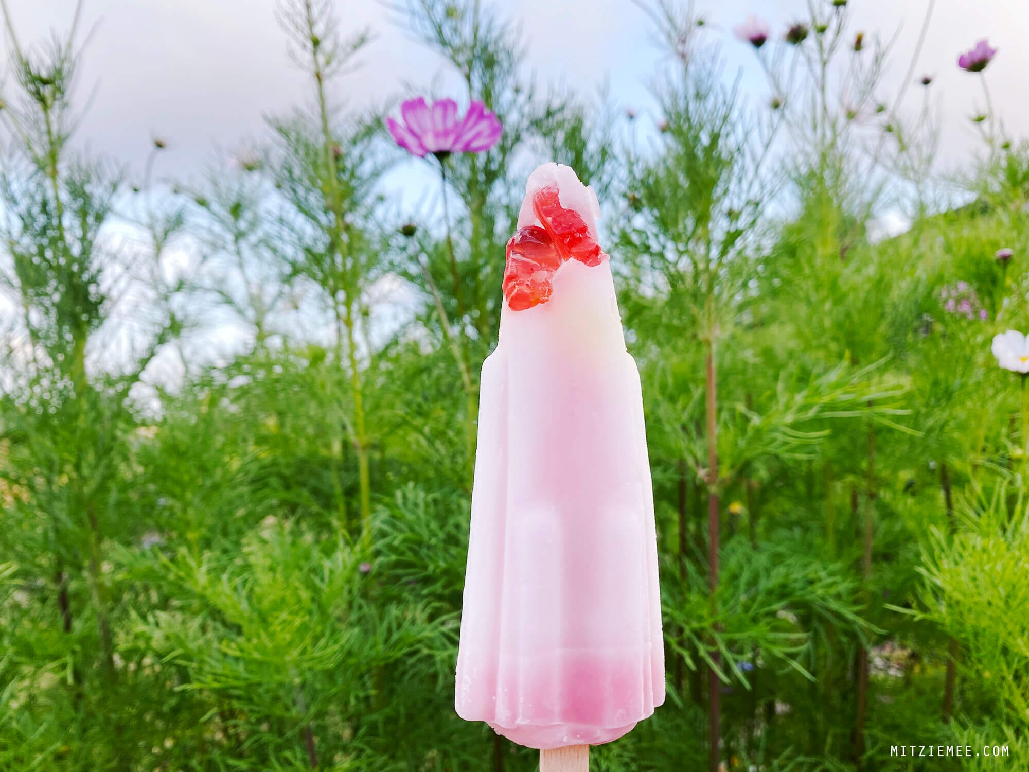 Astronaut popsicle, Danish food