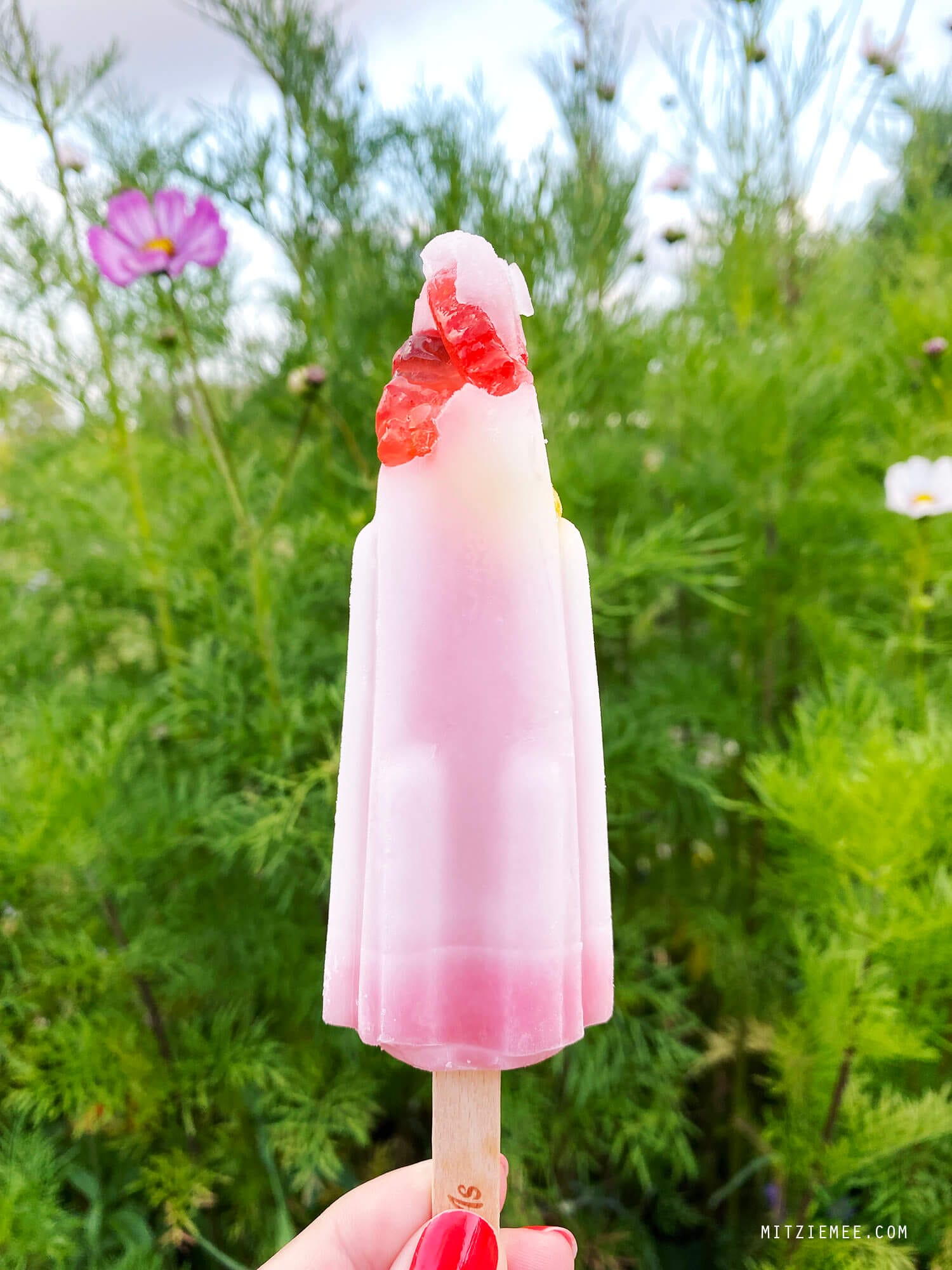 Astronaut popsicle, Danish food