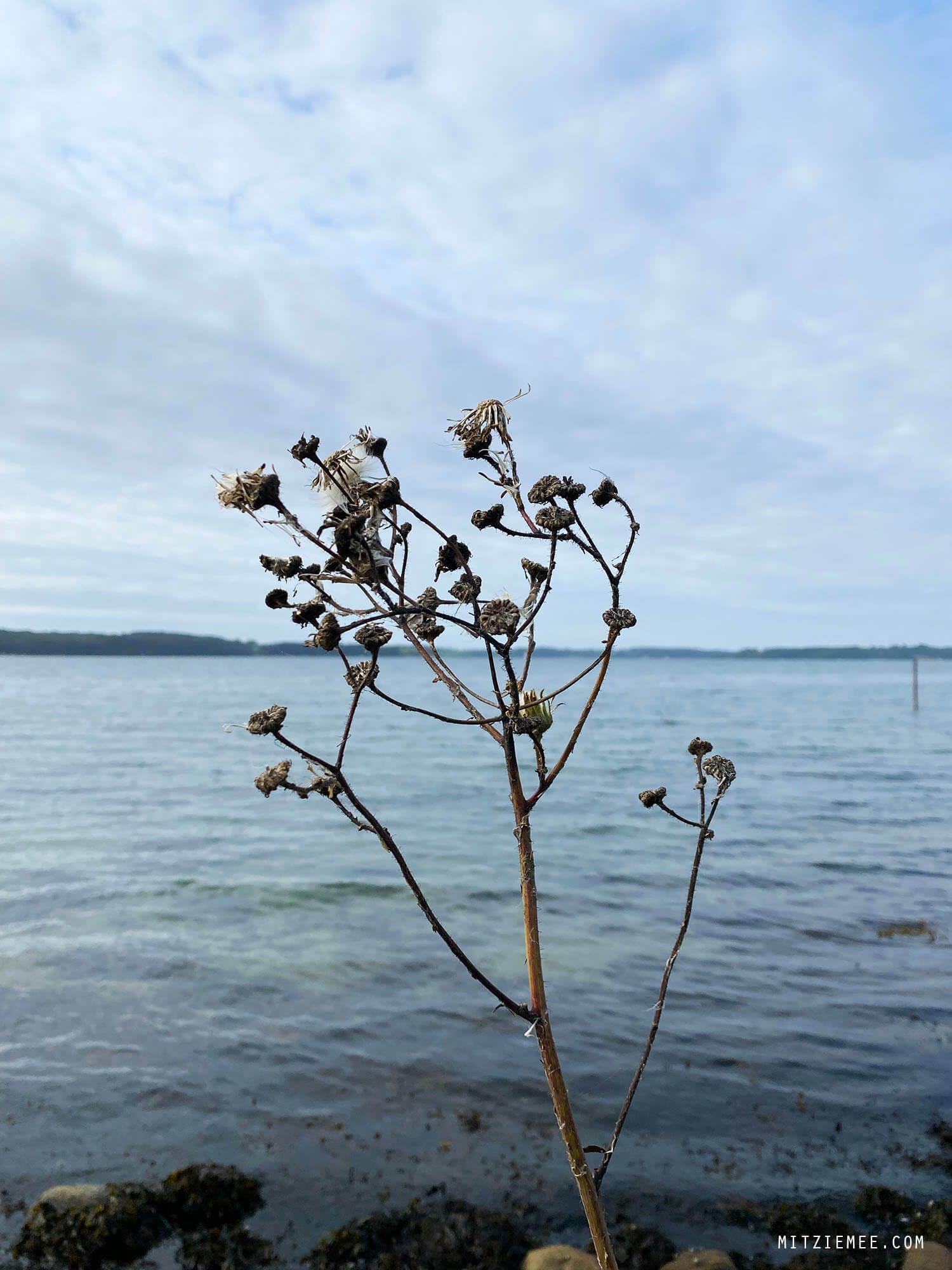 Skærbæk, Fredericia, Denmark