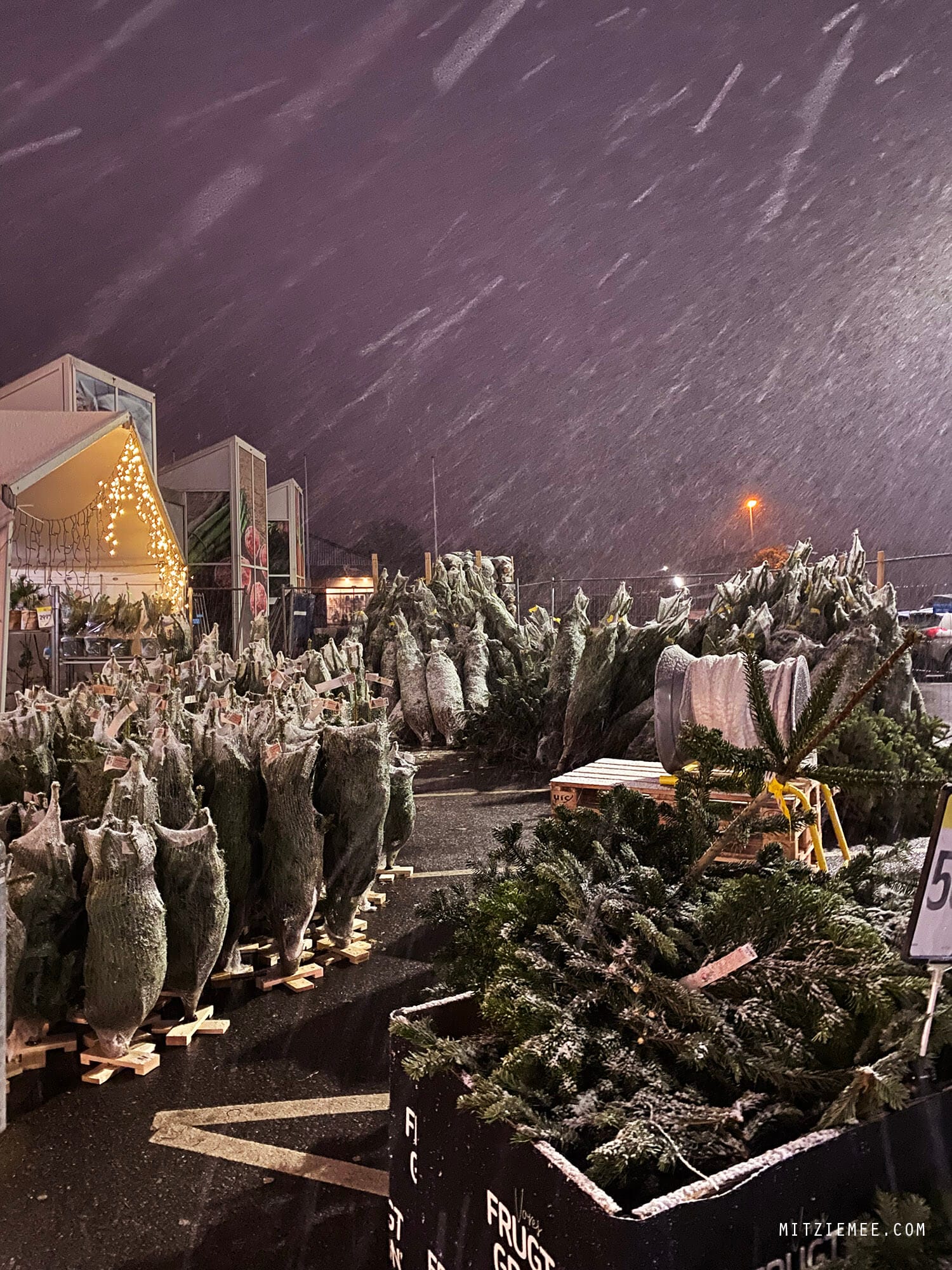Snow in Denmark