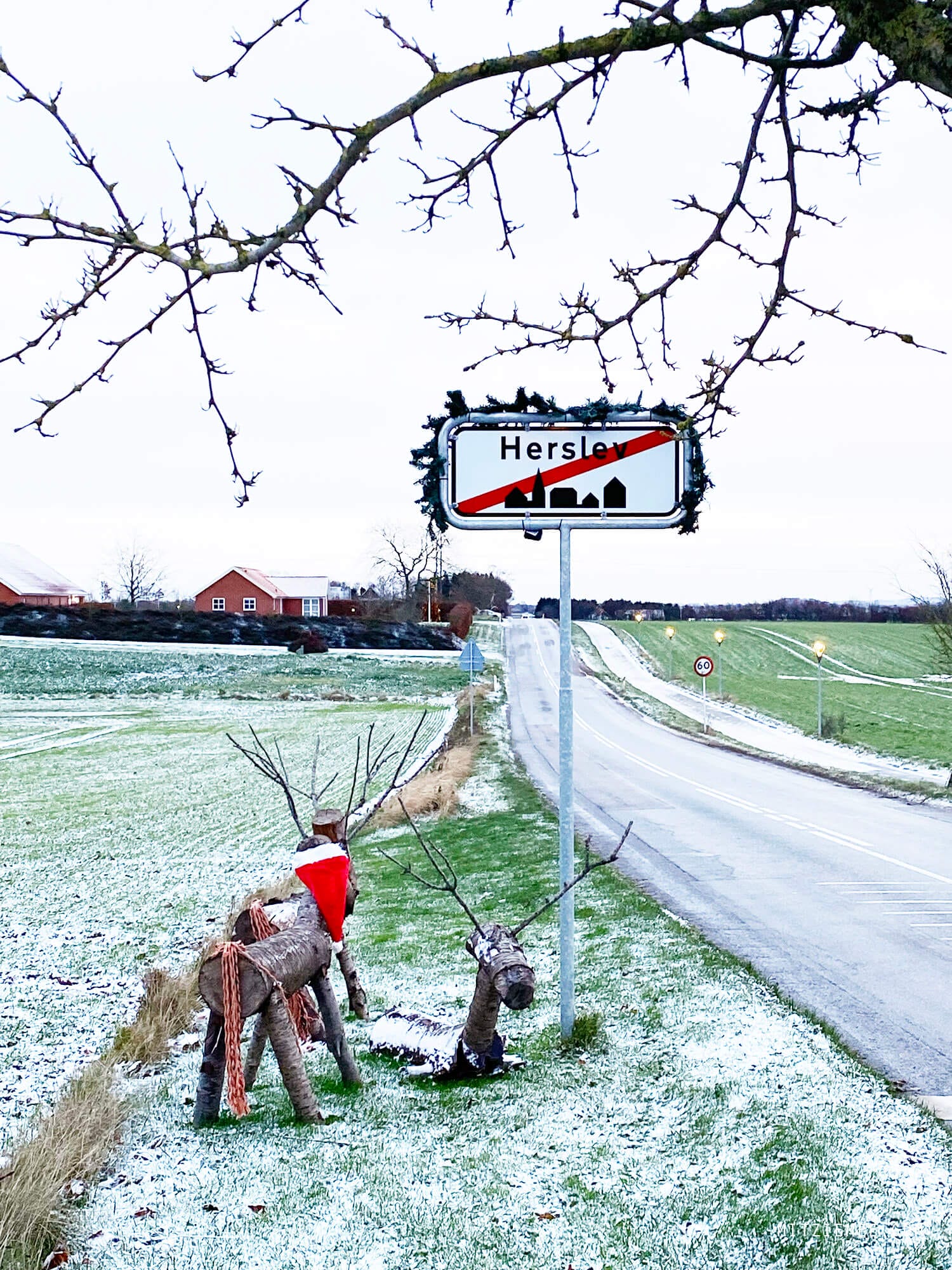 Snow in Denmark