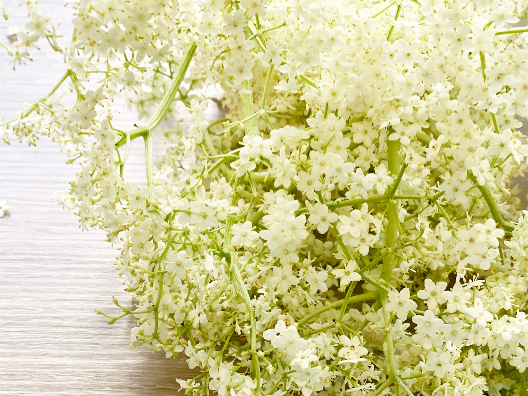 Recipe: My mom’s elderflower syrup