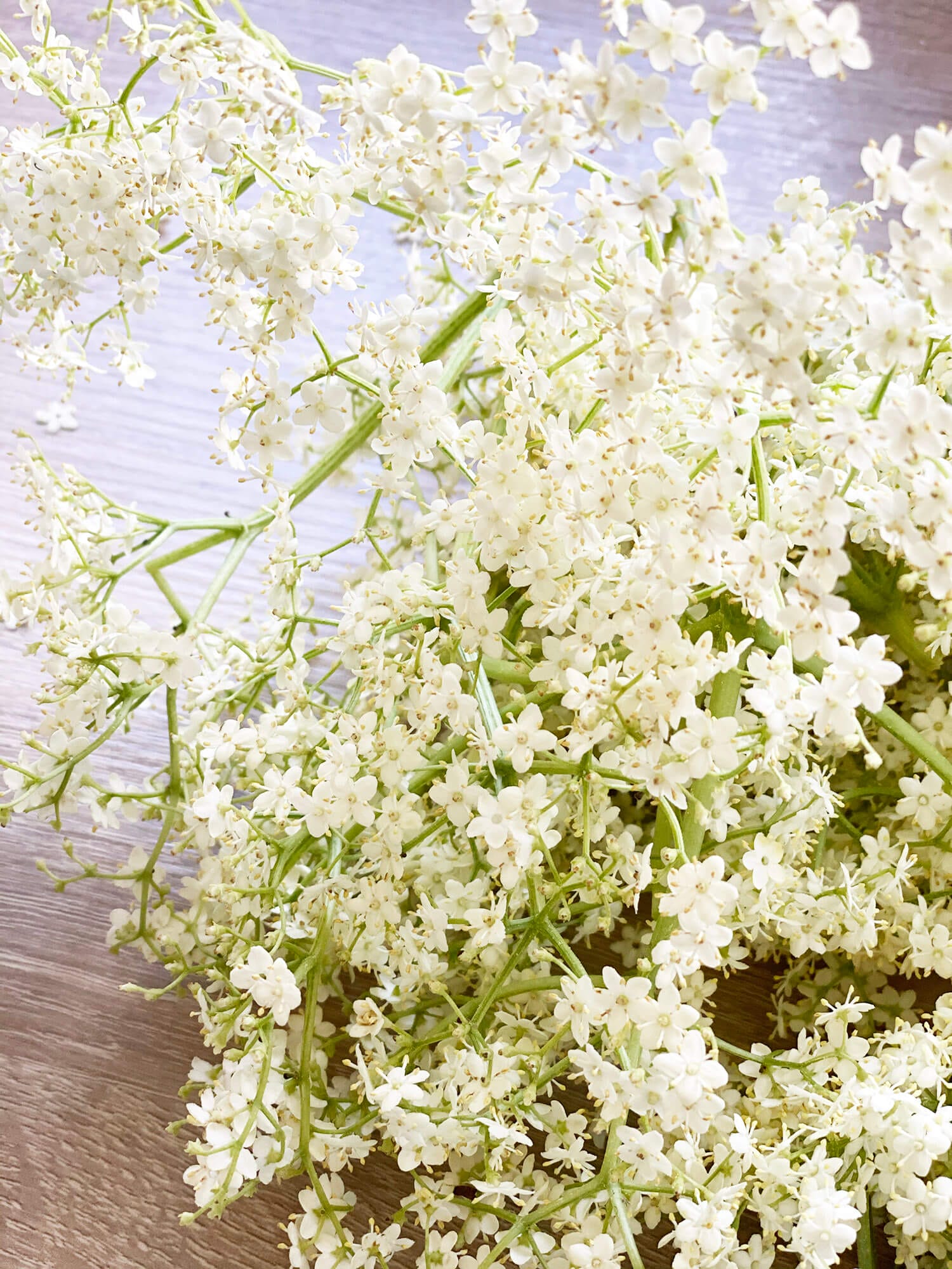 Recipe: My mom’s elderflower syrup