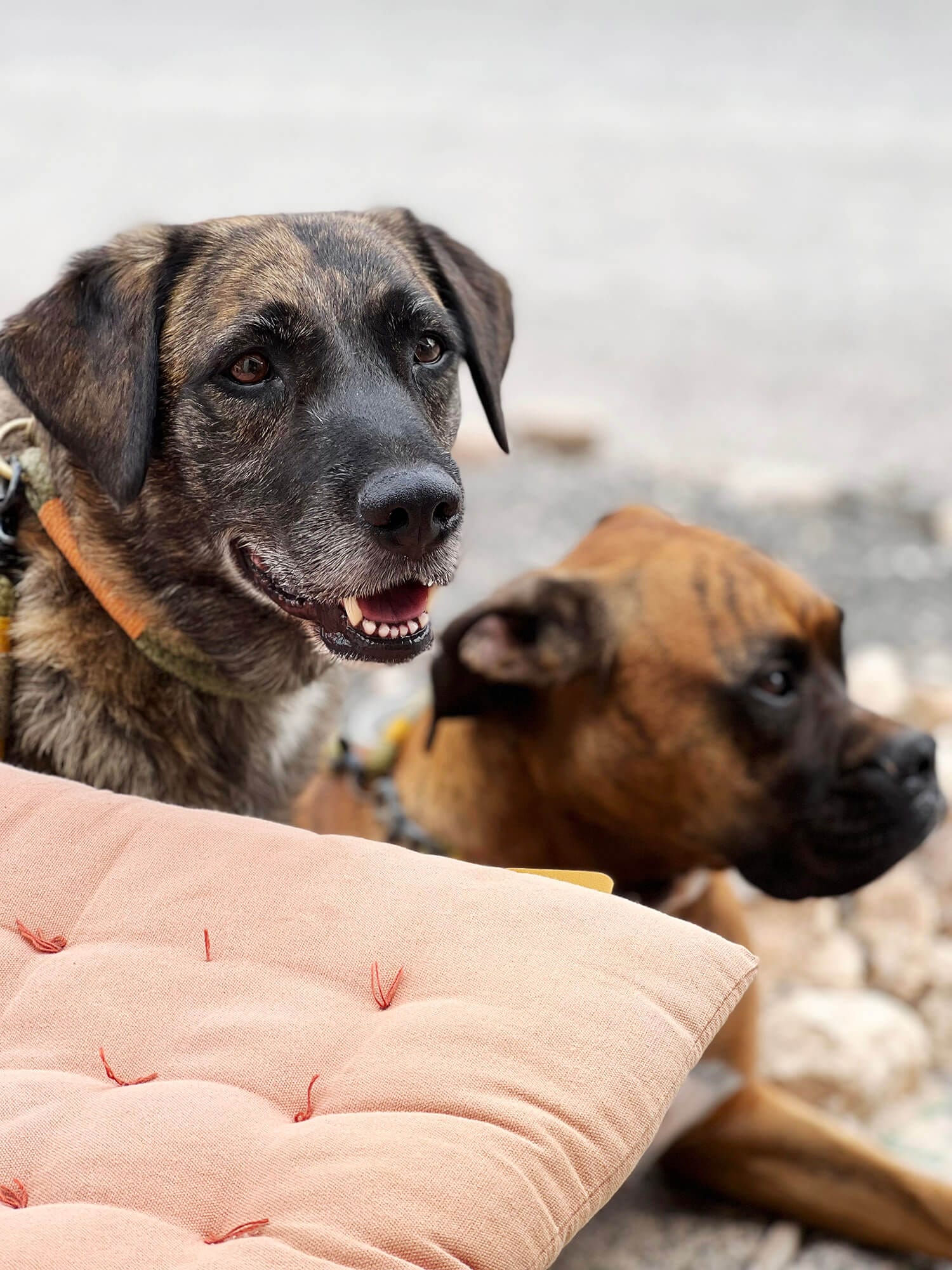 Café Caveto, La Pared, Fuerteventura Blog